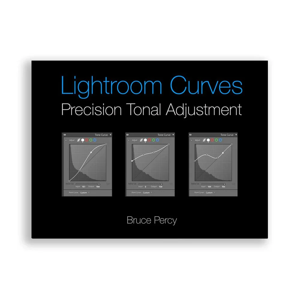 Standard Edition - Lightroom Curves, Precision Tonal Adjustment
