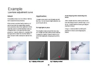Lightroom-Advanced-Curves-27.jpg (Copy)