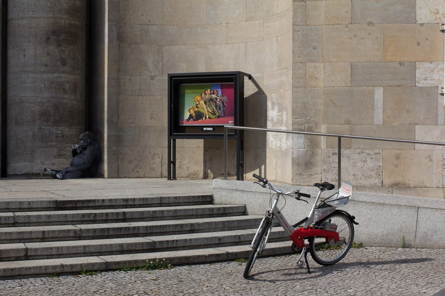 Squarespace_Stadttiere-1.jpg