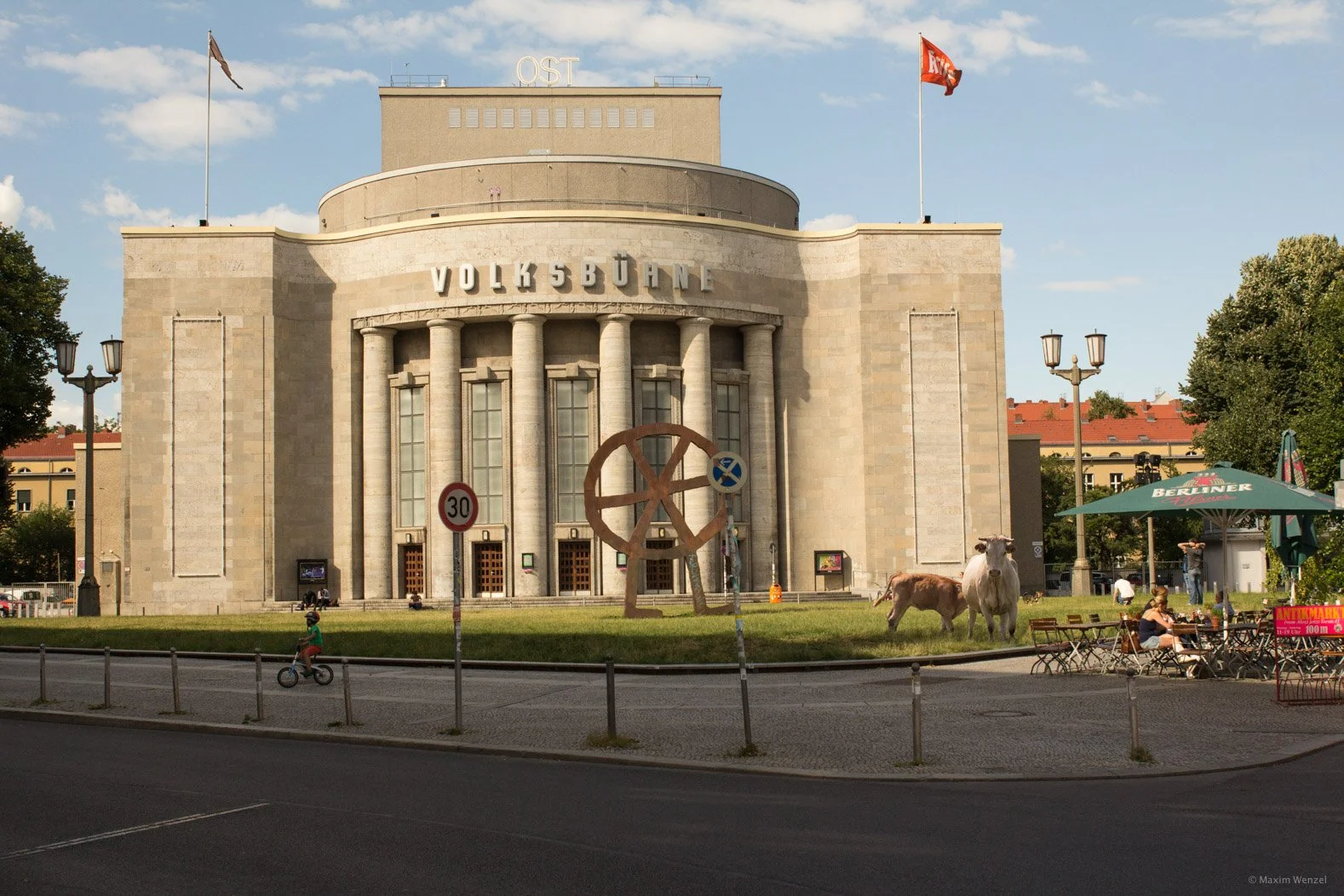 Squarespace_Stadttiere-6.jpg