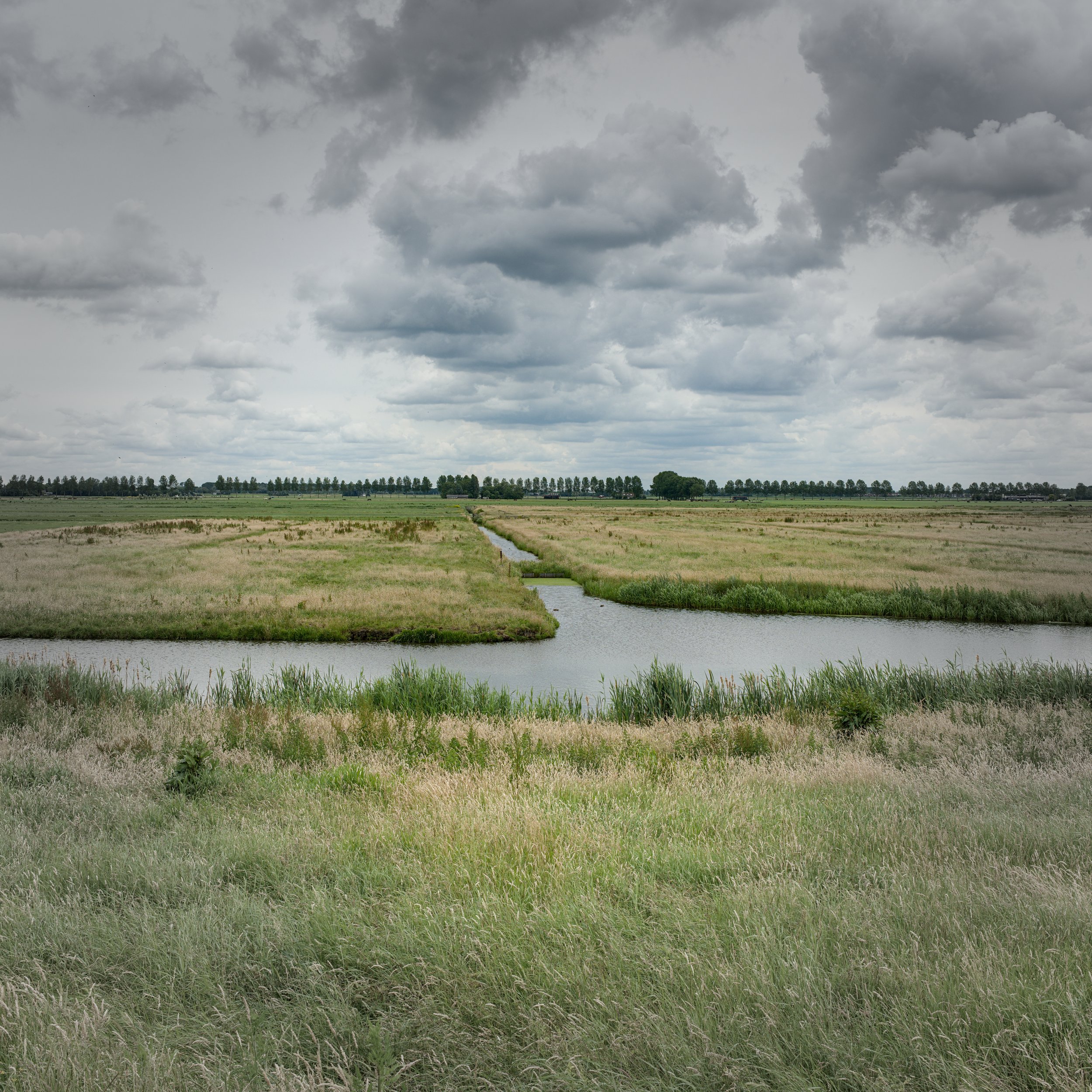 DSC_0789.jpg