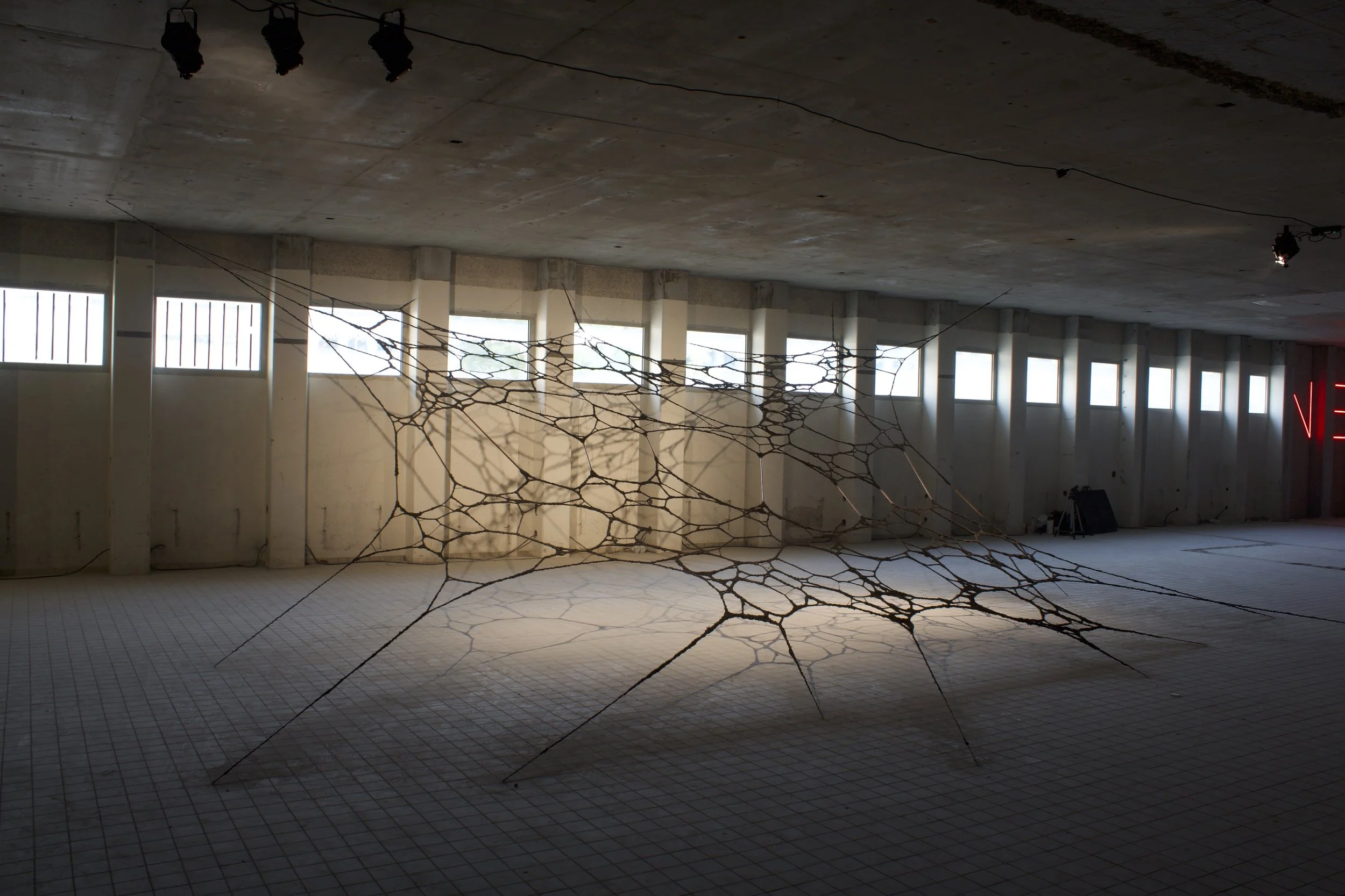 Jake Kelly Big Art 4.jpeg