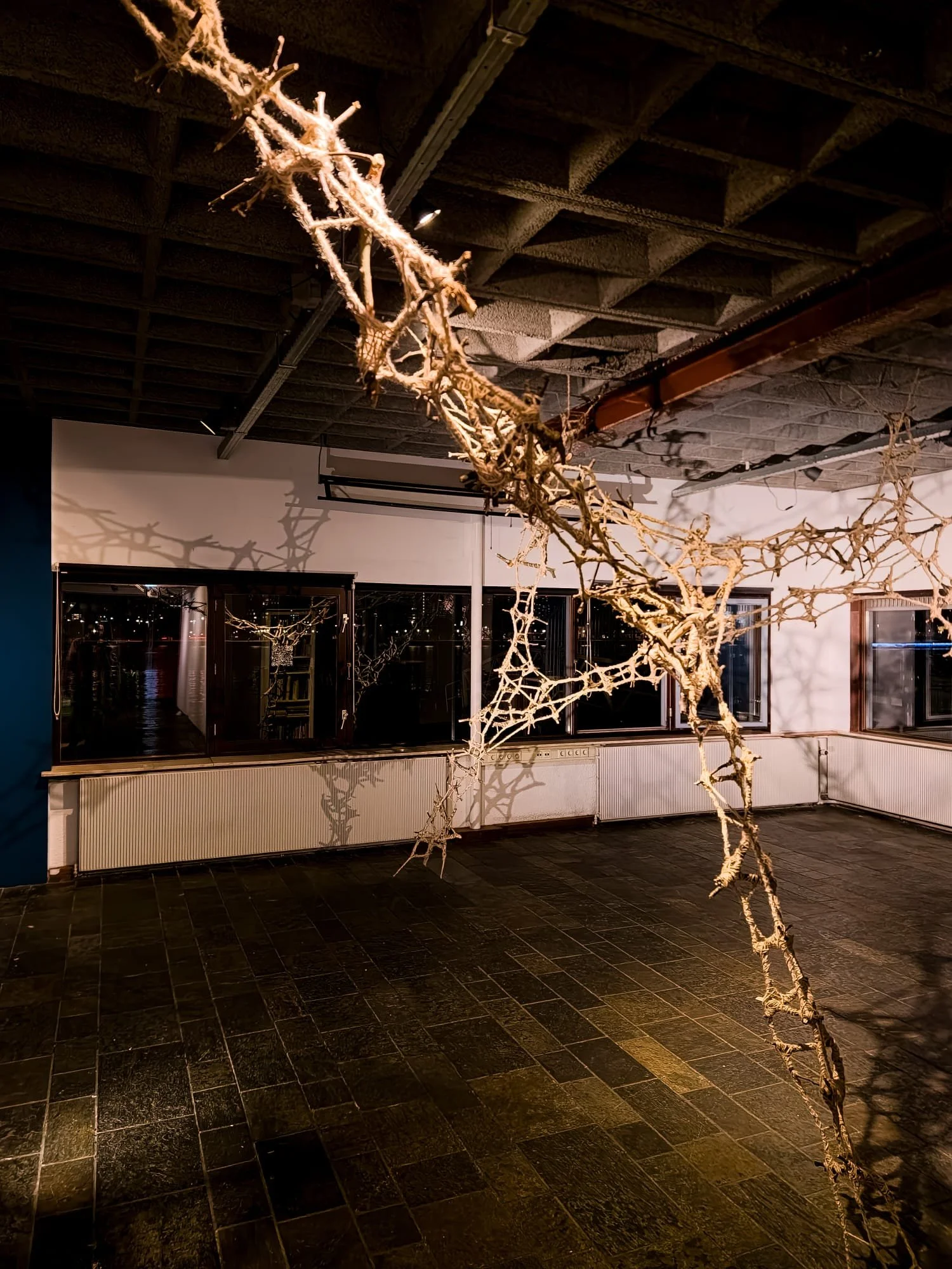 WhatsApp Image 2024-10-12 at 15.58.41.jpeg