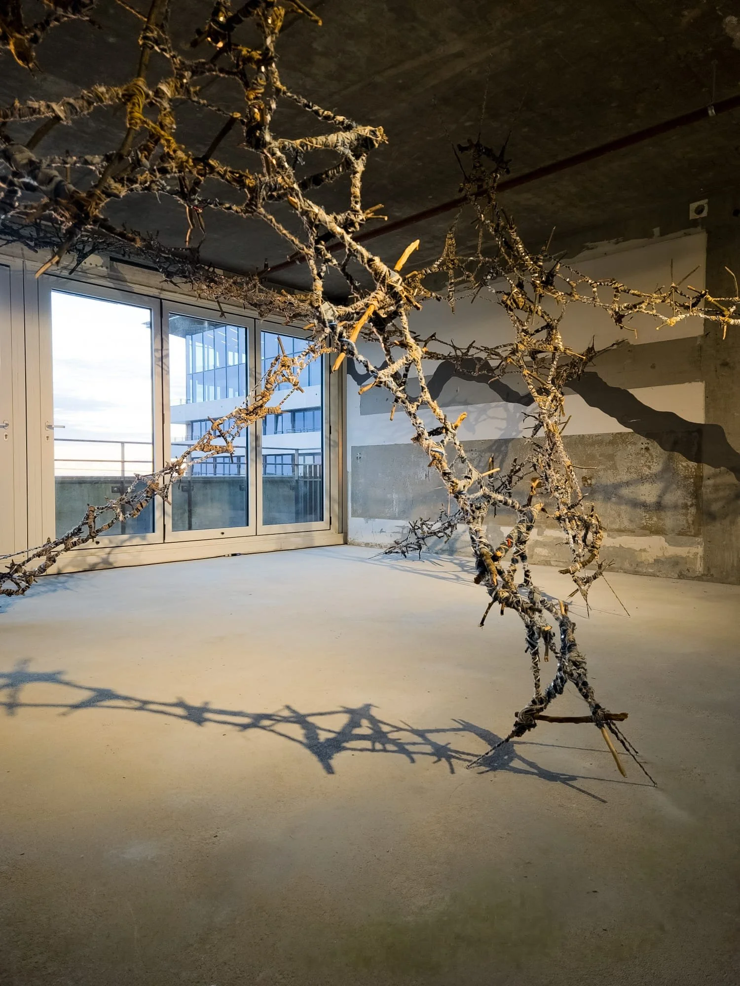 WhatsApp Image 2025-10-12 at 16.26.58.jpeg