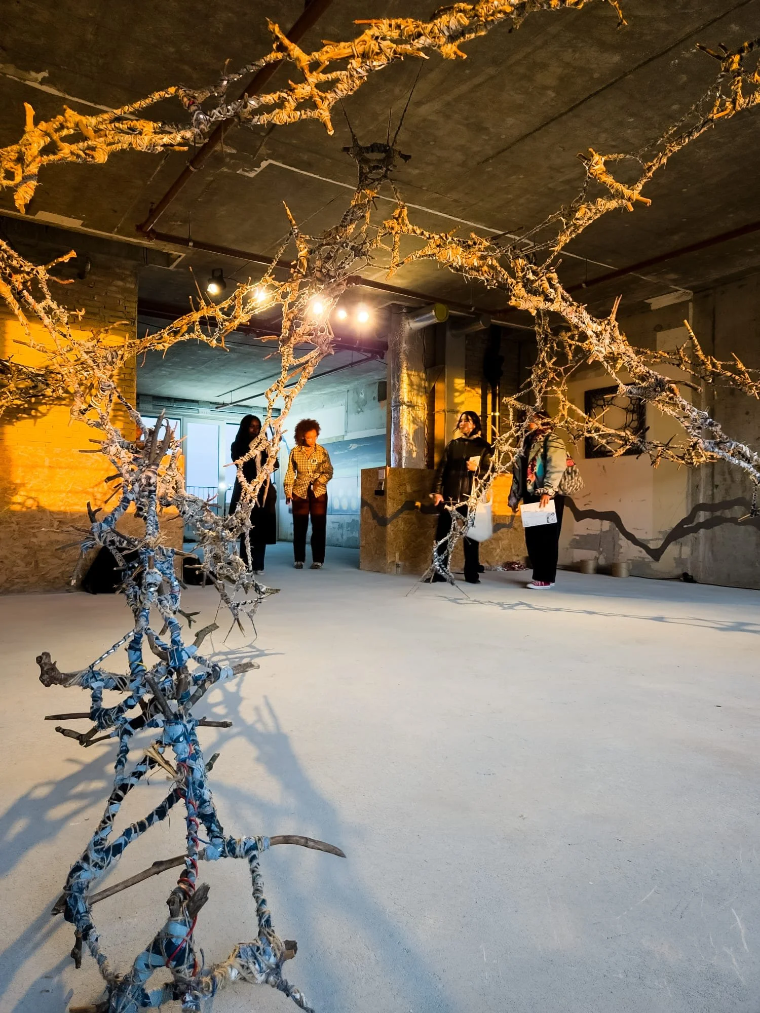 WhatsApp Image 2025-10-12 at 16.26.59.jpeg