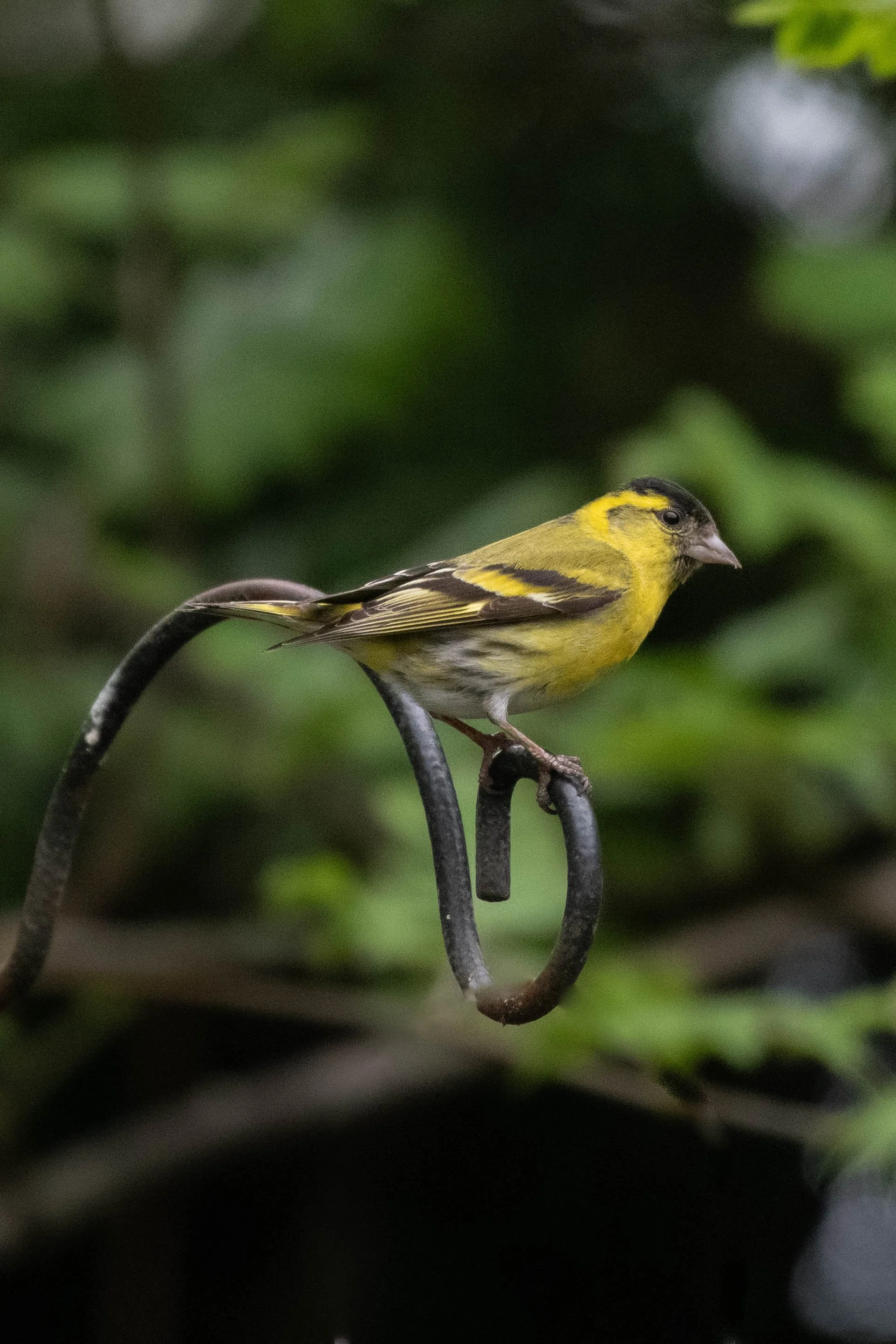 Waterside WL (7 of 9).jpg