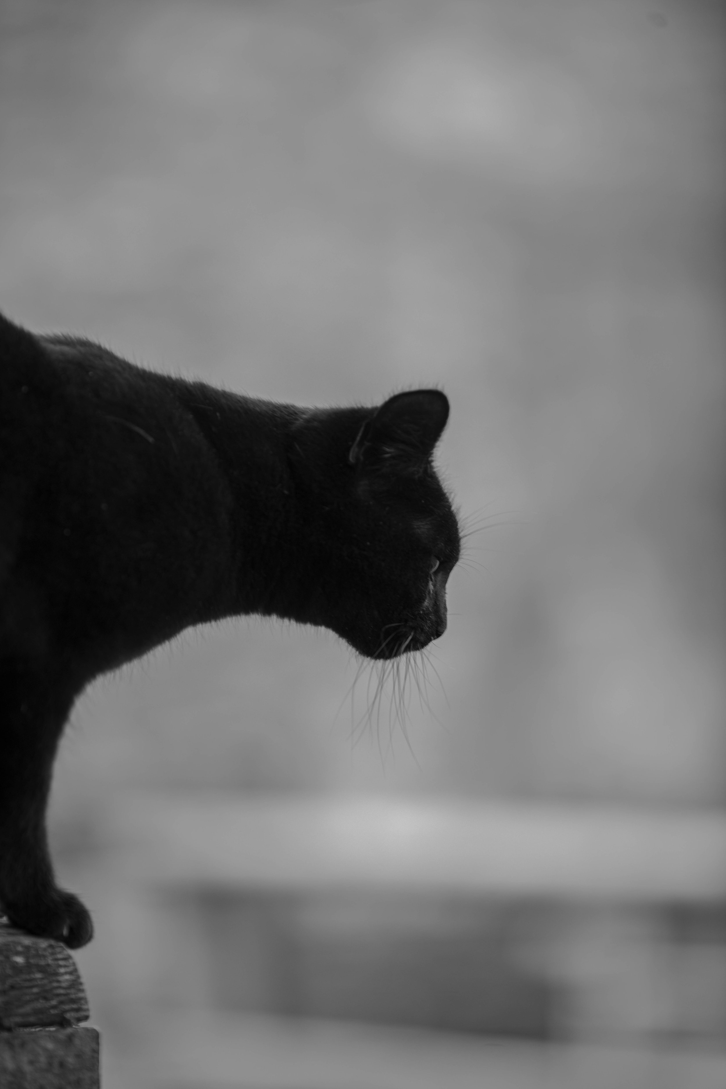 Waterside RL (16 of 25) - Copy.jpg