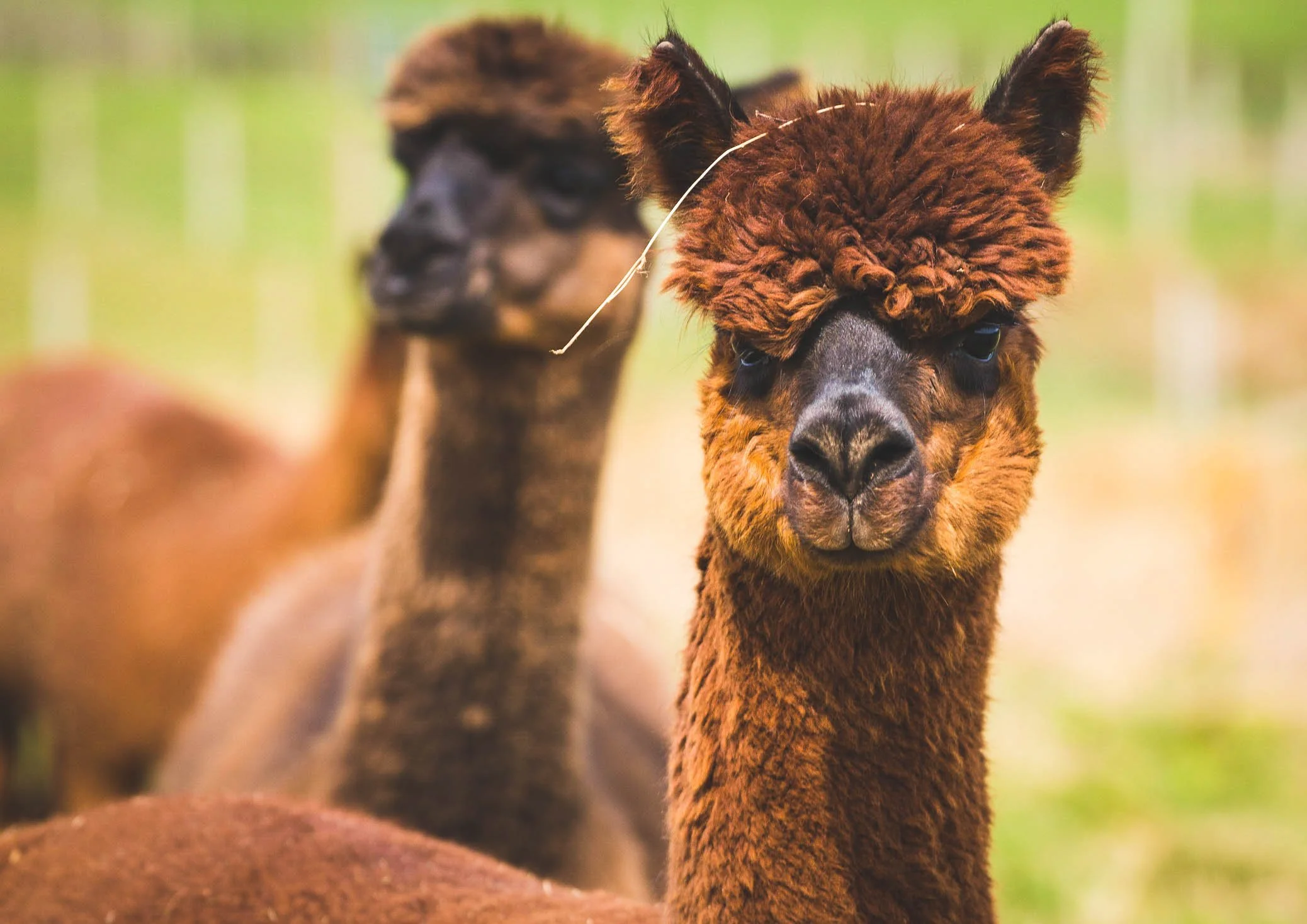 Waterside RL (4 of 25) - Copy.jpg