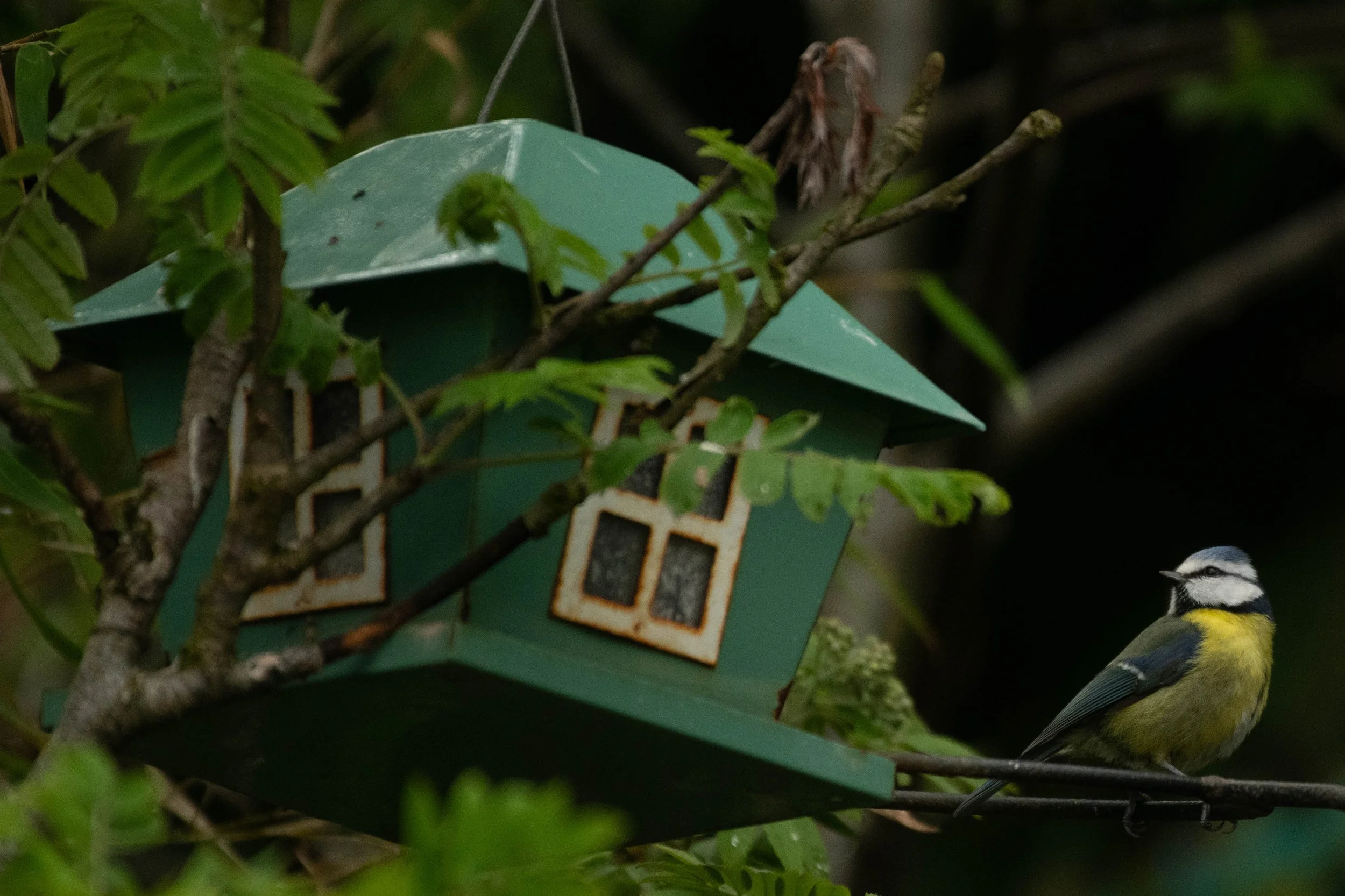 Waterside WL (1 of 9).jpg