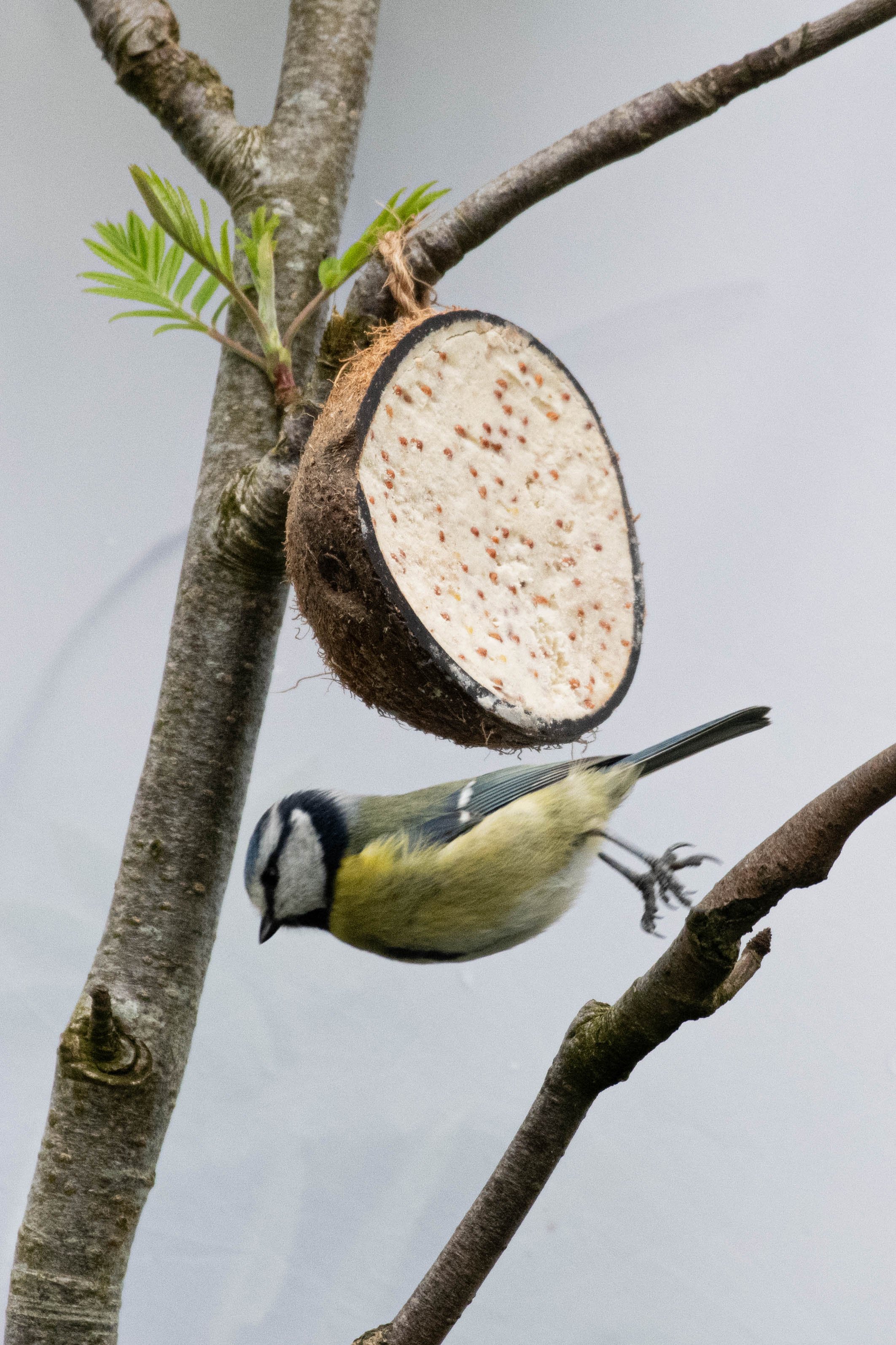 Waterside WL (6 of 9).jpg