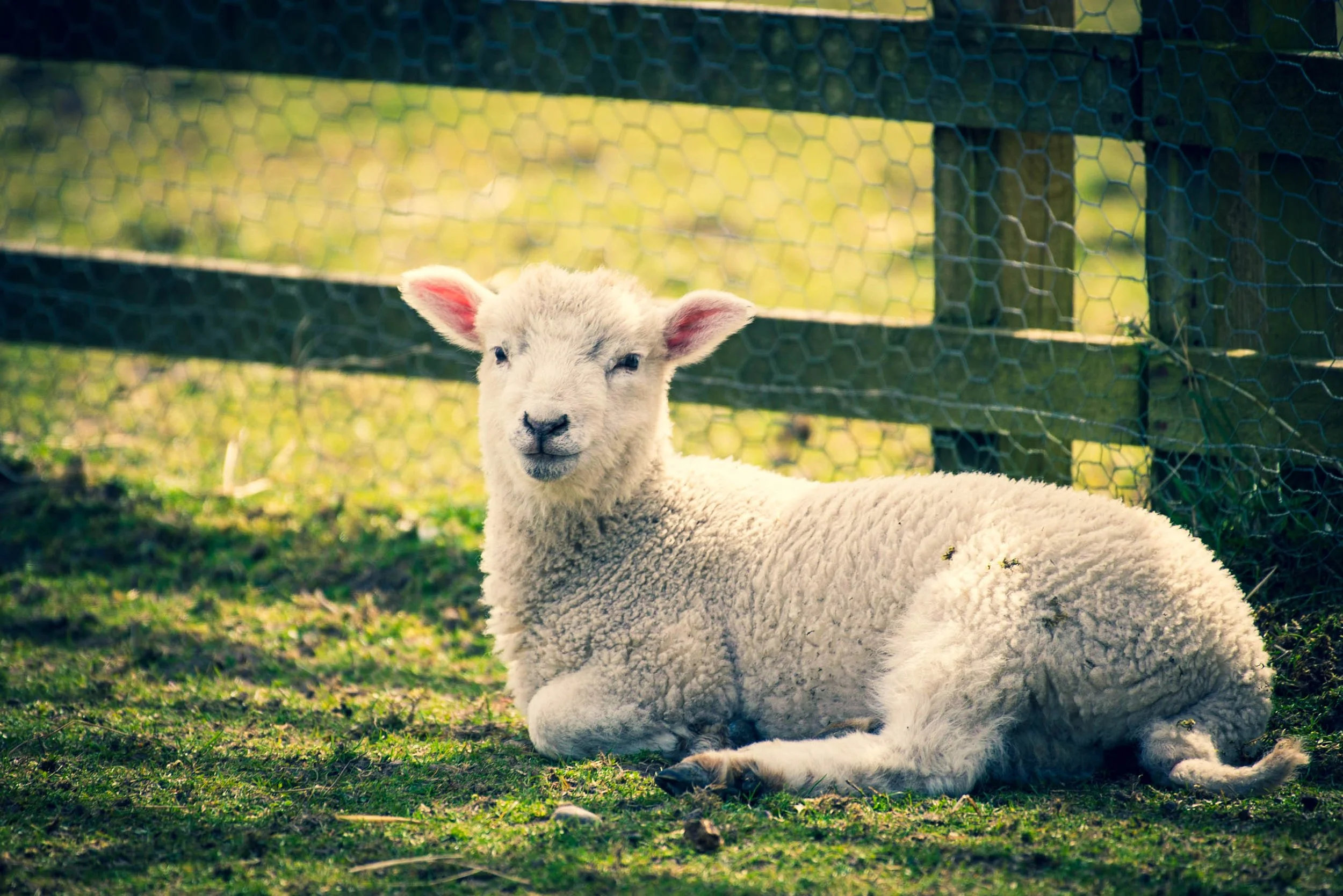 Waterside RL (5 of 25) - Copy.jpg