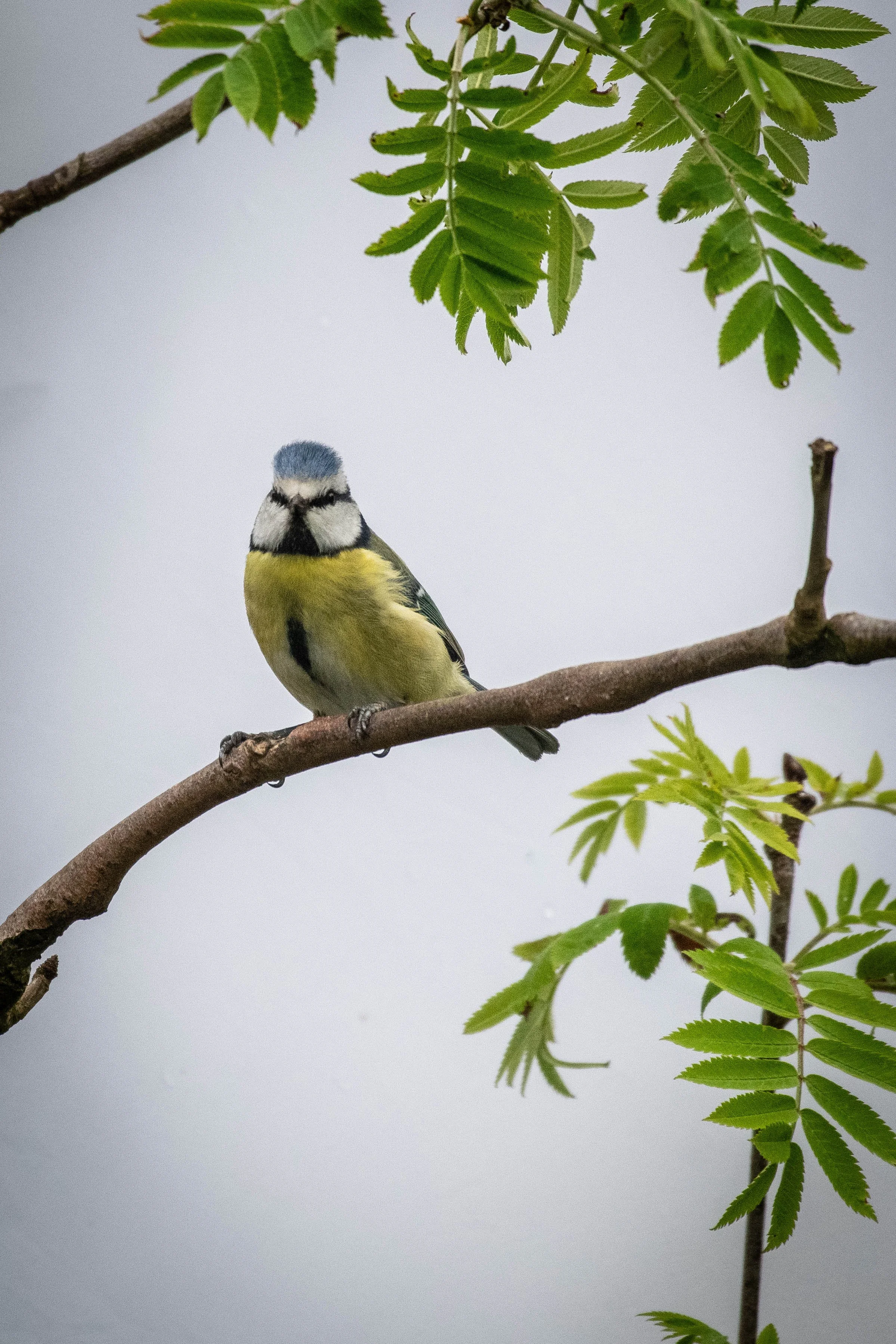 Waterside WL (5 of 9).jpg