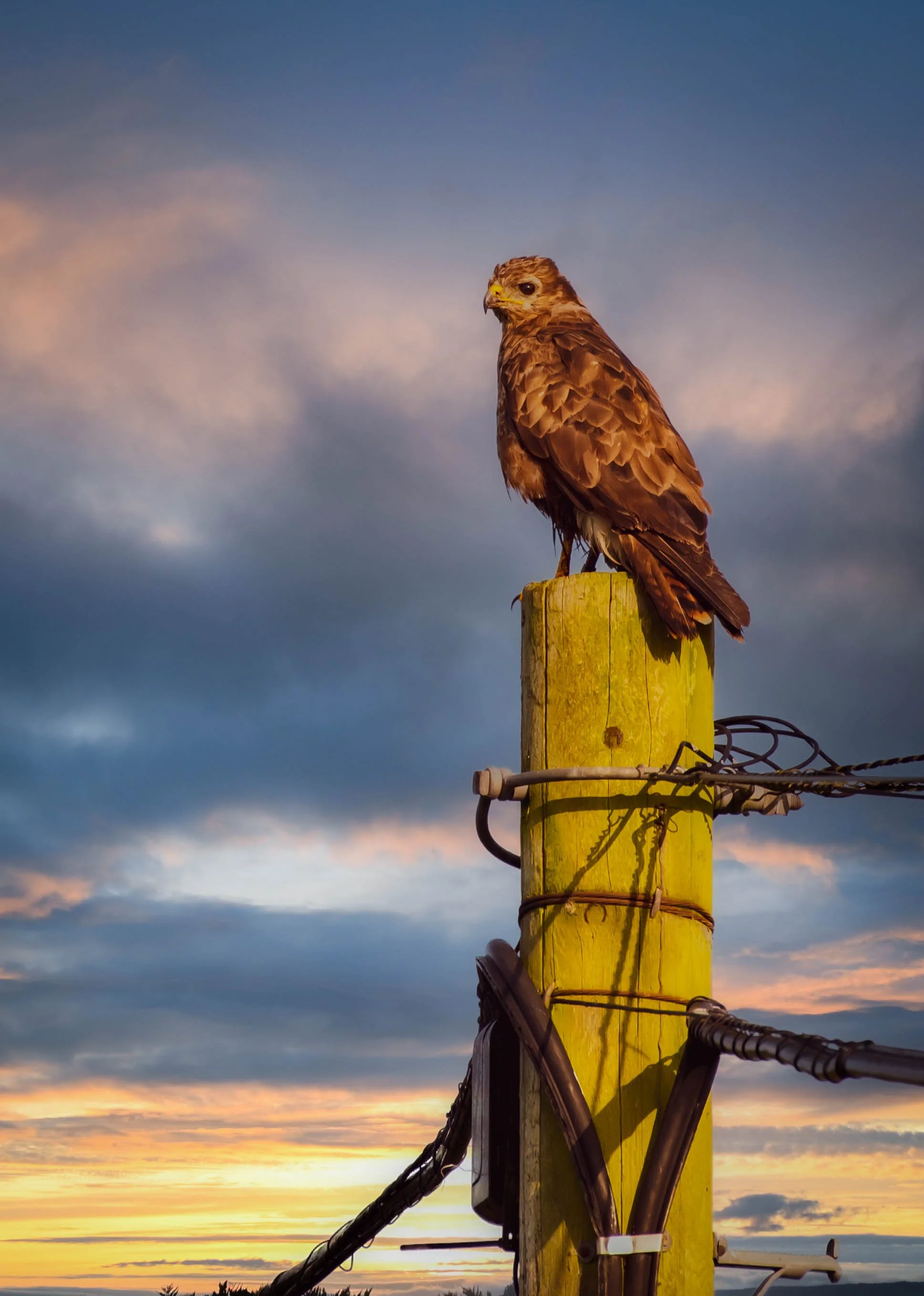 Waterside RL (8 of 25) - Copy.jpg