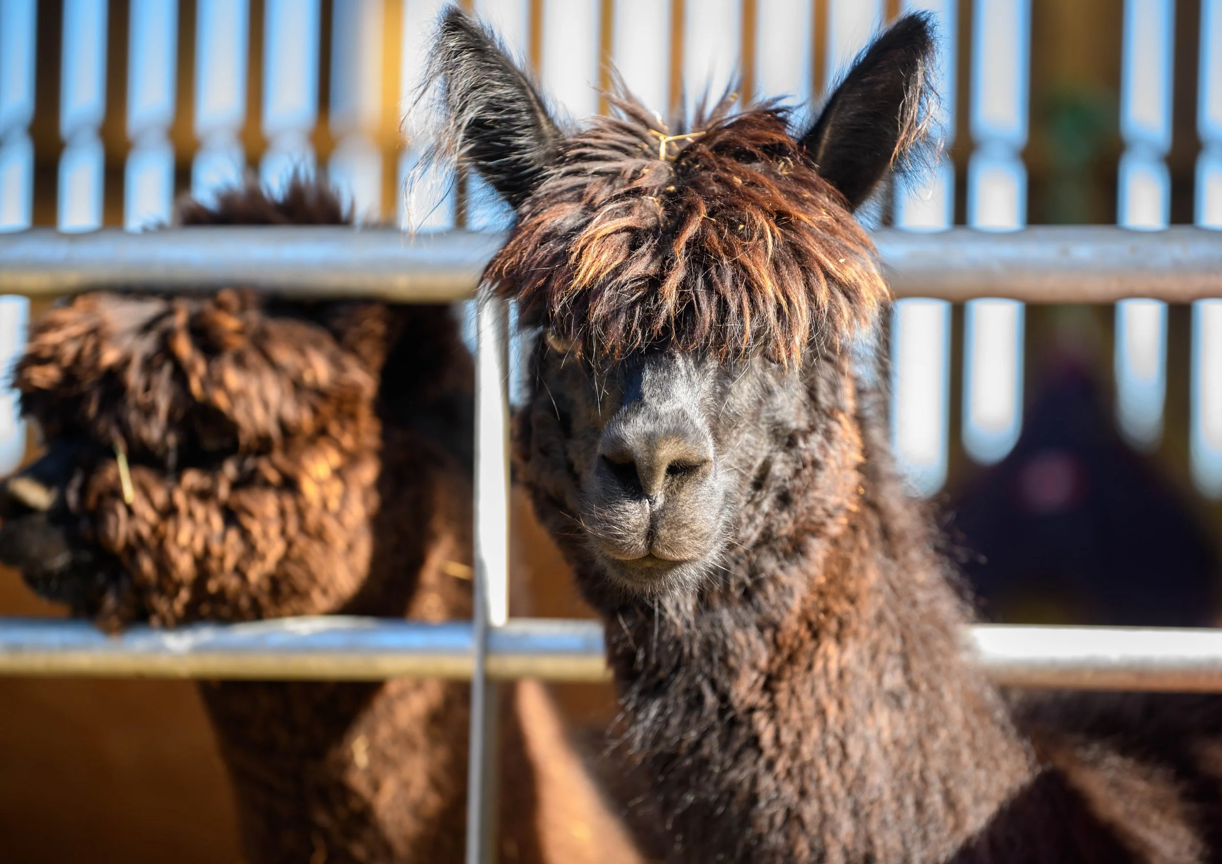 Waterside RL (21 of 25).jpg