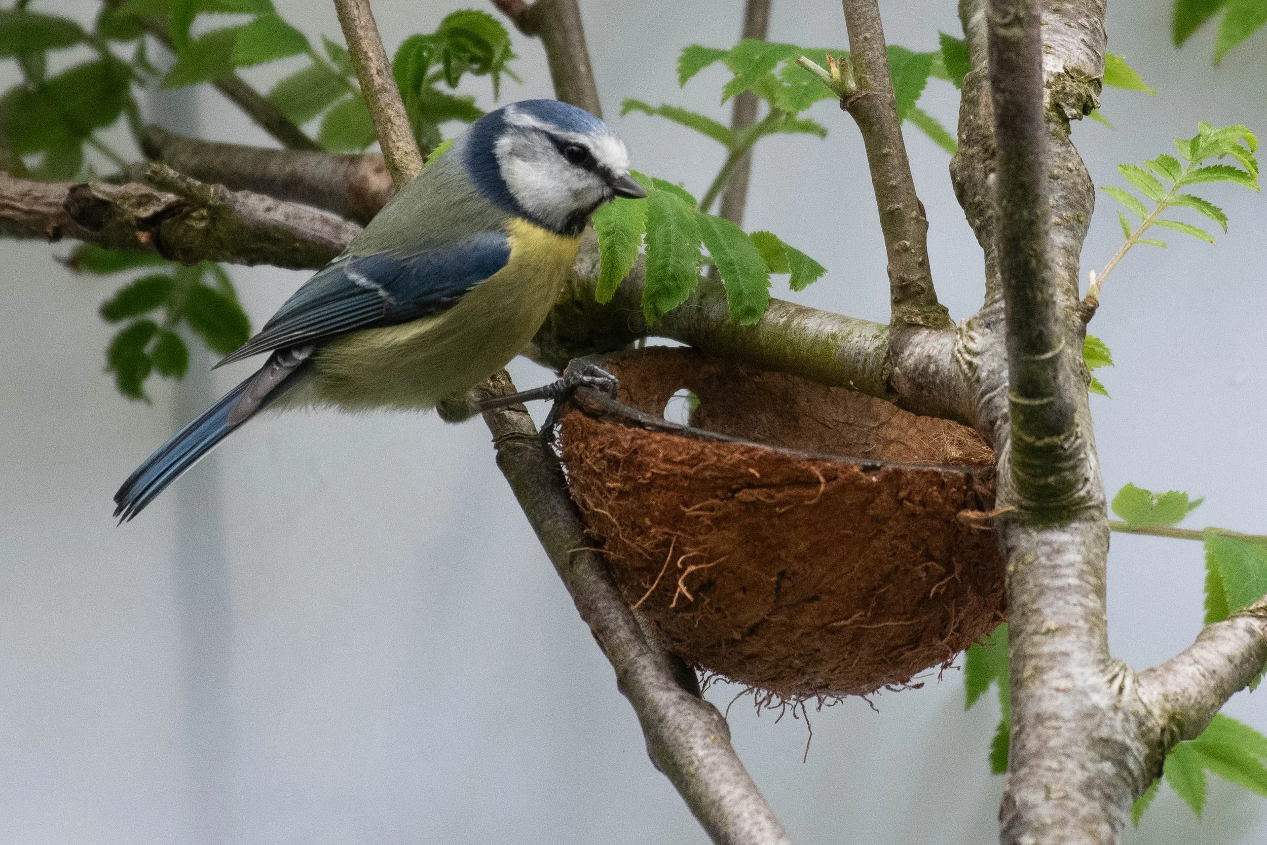 Waterside WL (2 of 9).jpg