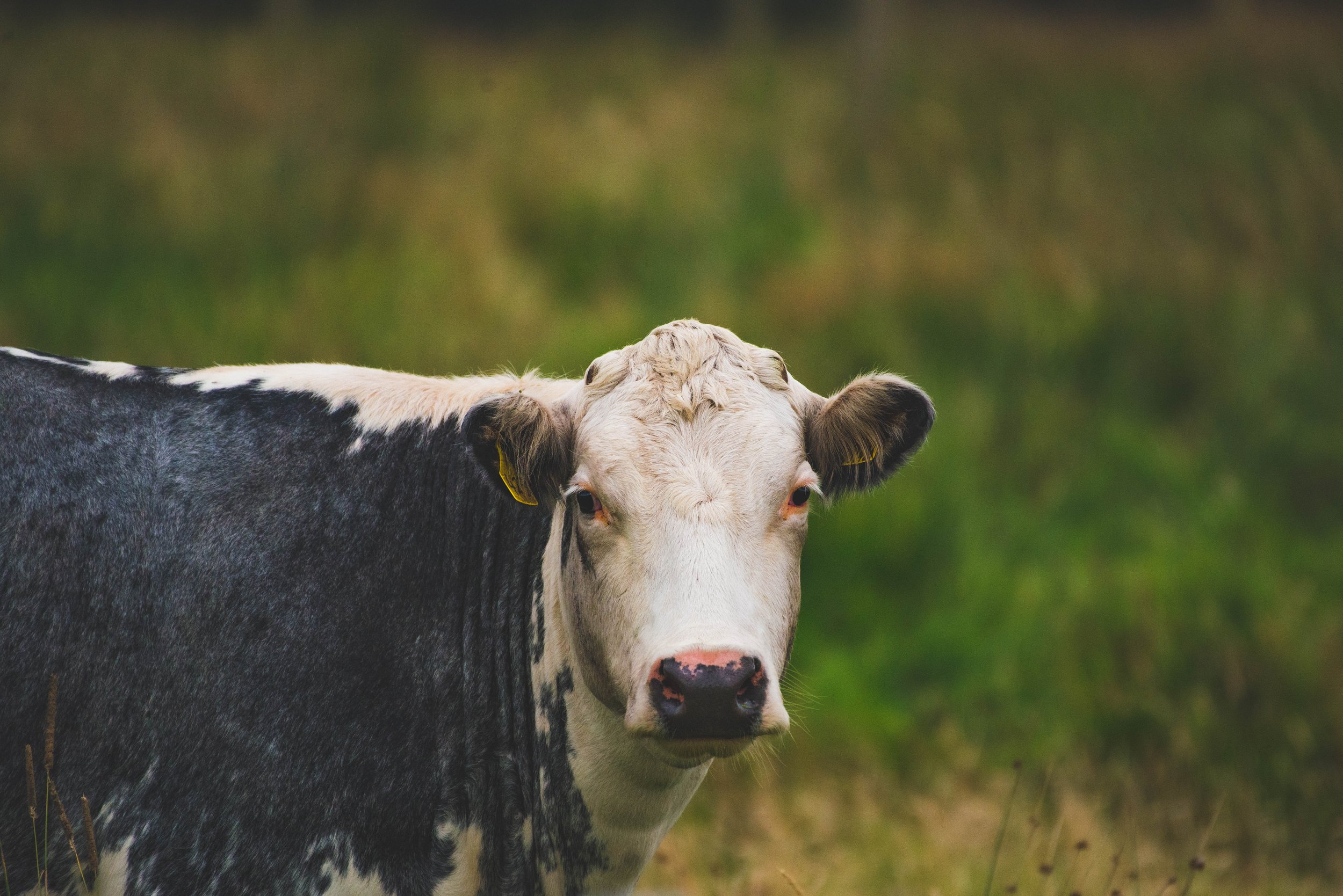 Waterside RL (7 of 25) - Copy.jpg