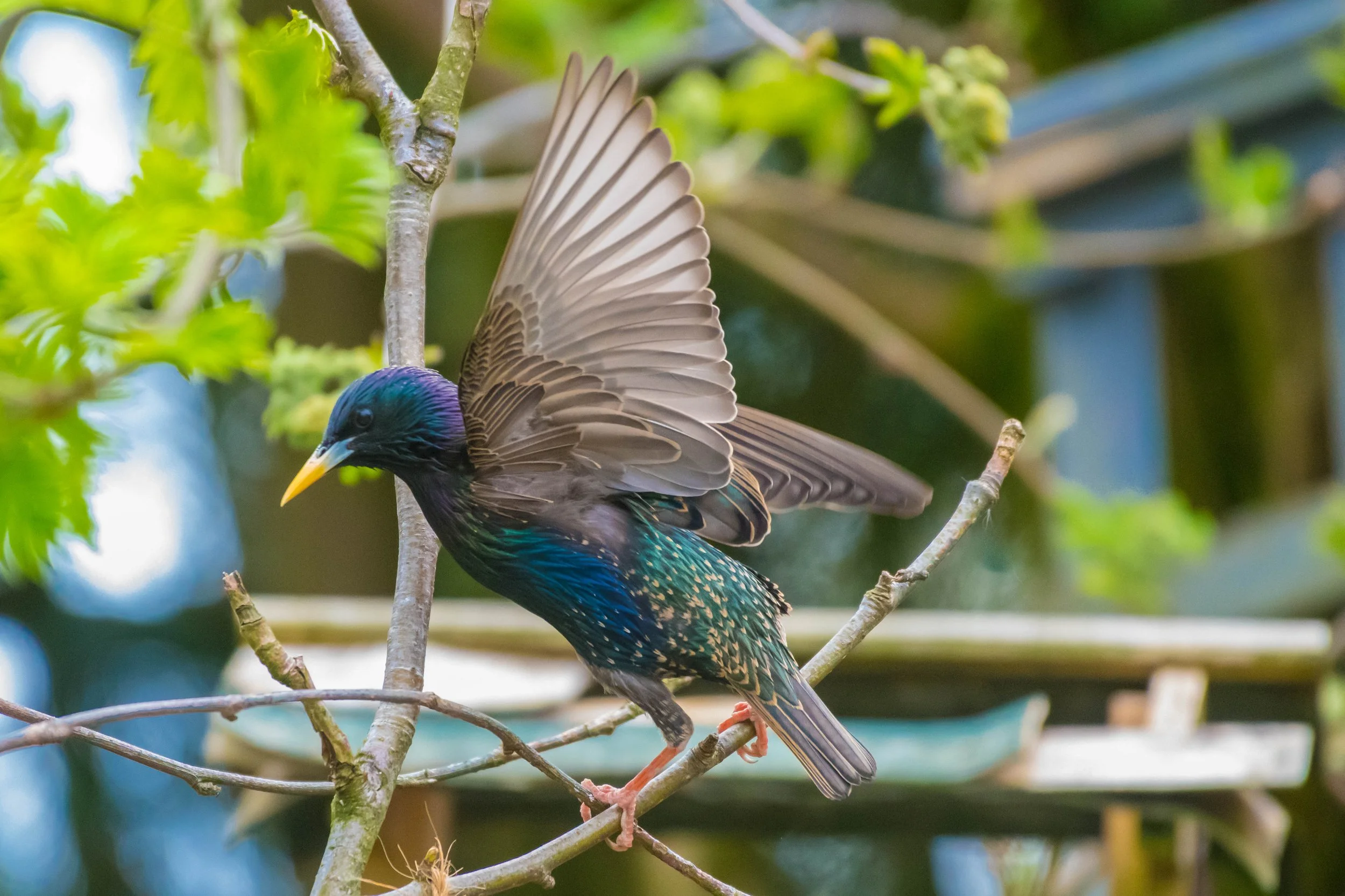 Waterside WL (5 of 8).jpg