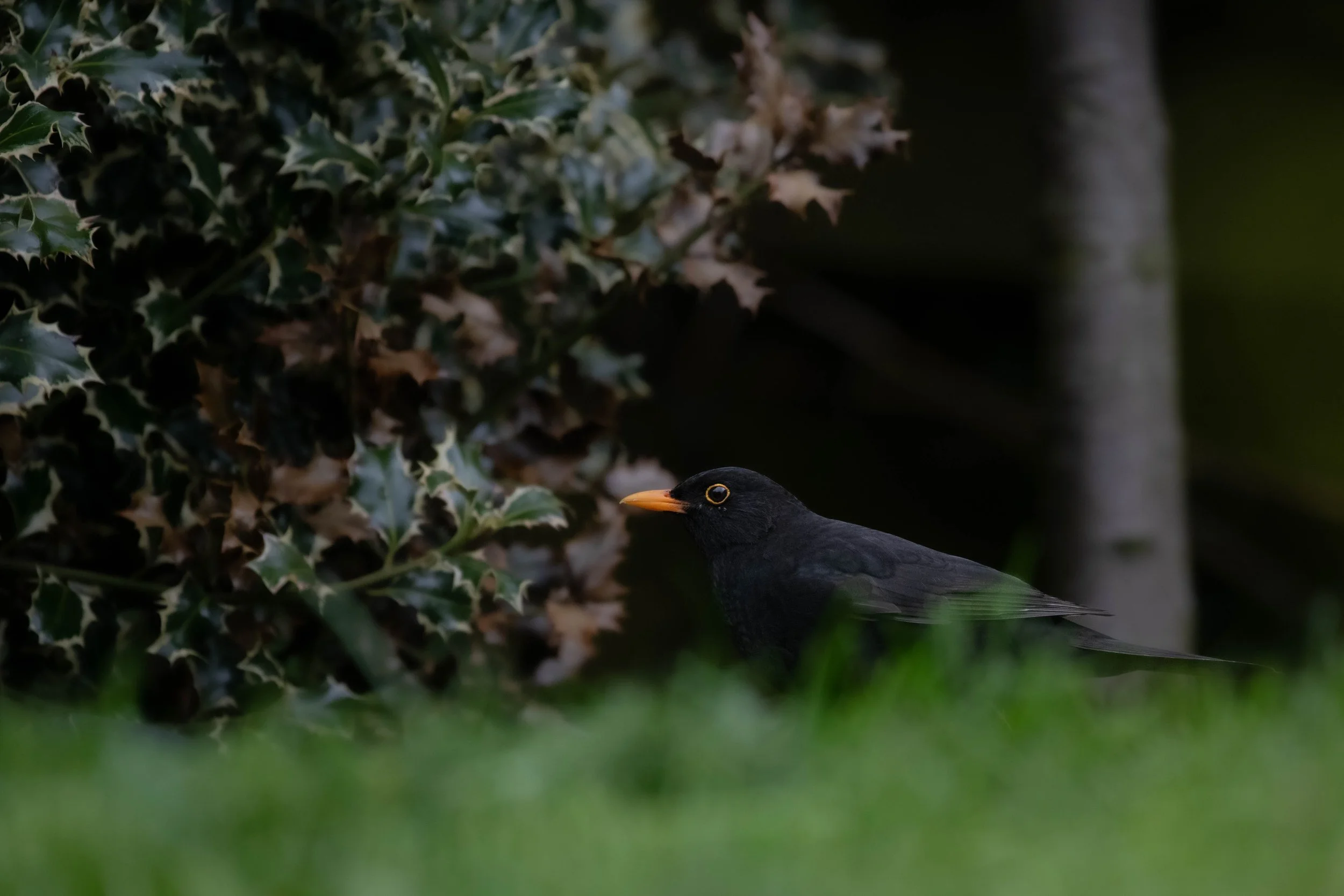 Waterside WL (4 of 9).jpg