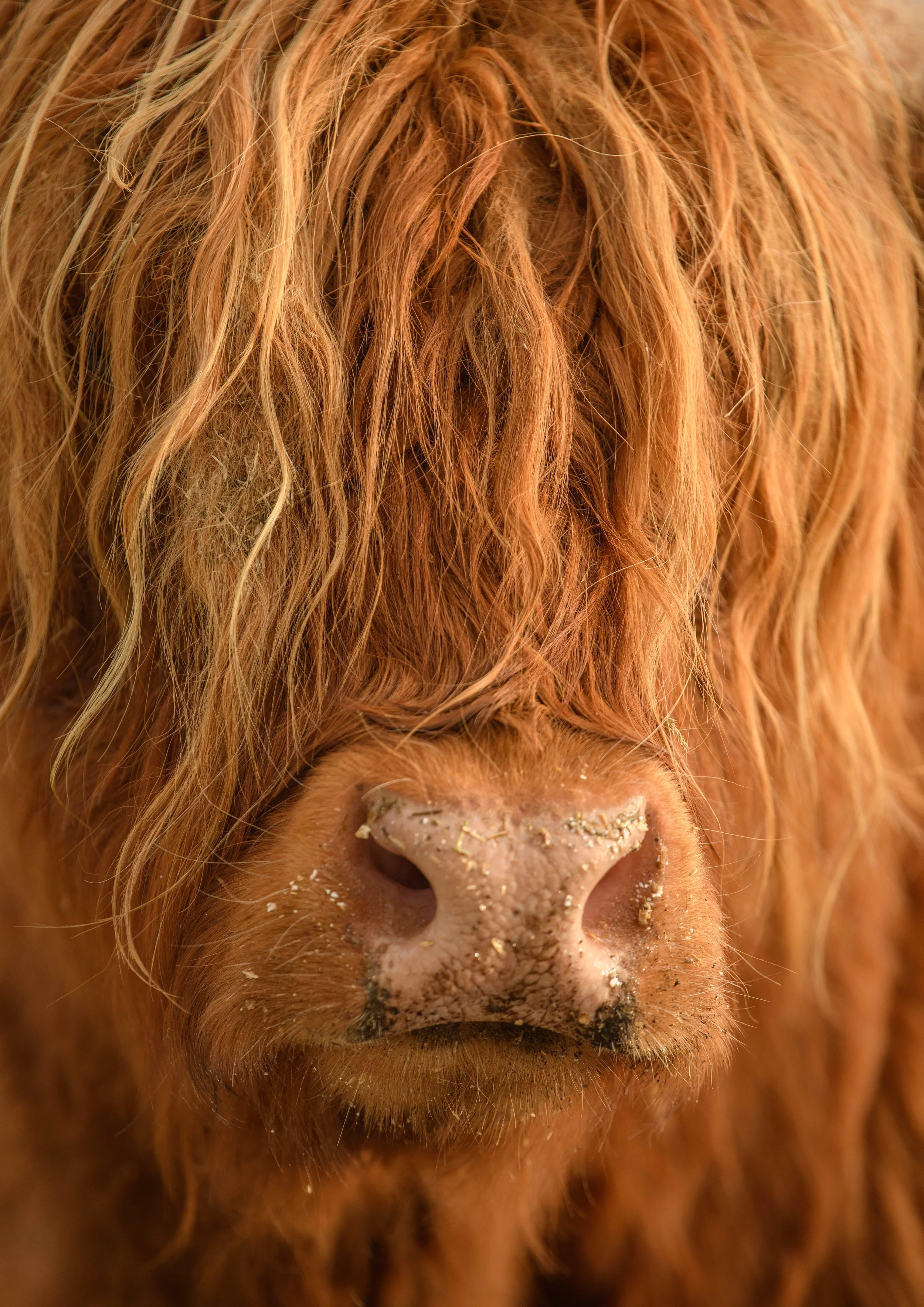 Waterside RL (15 of 25) - Copy.jpg