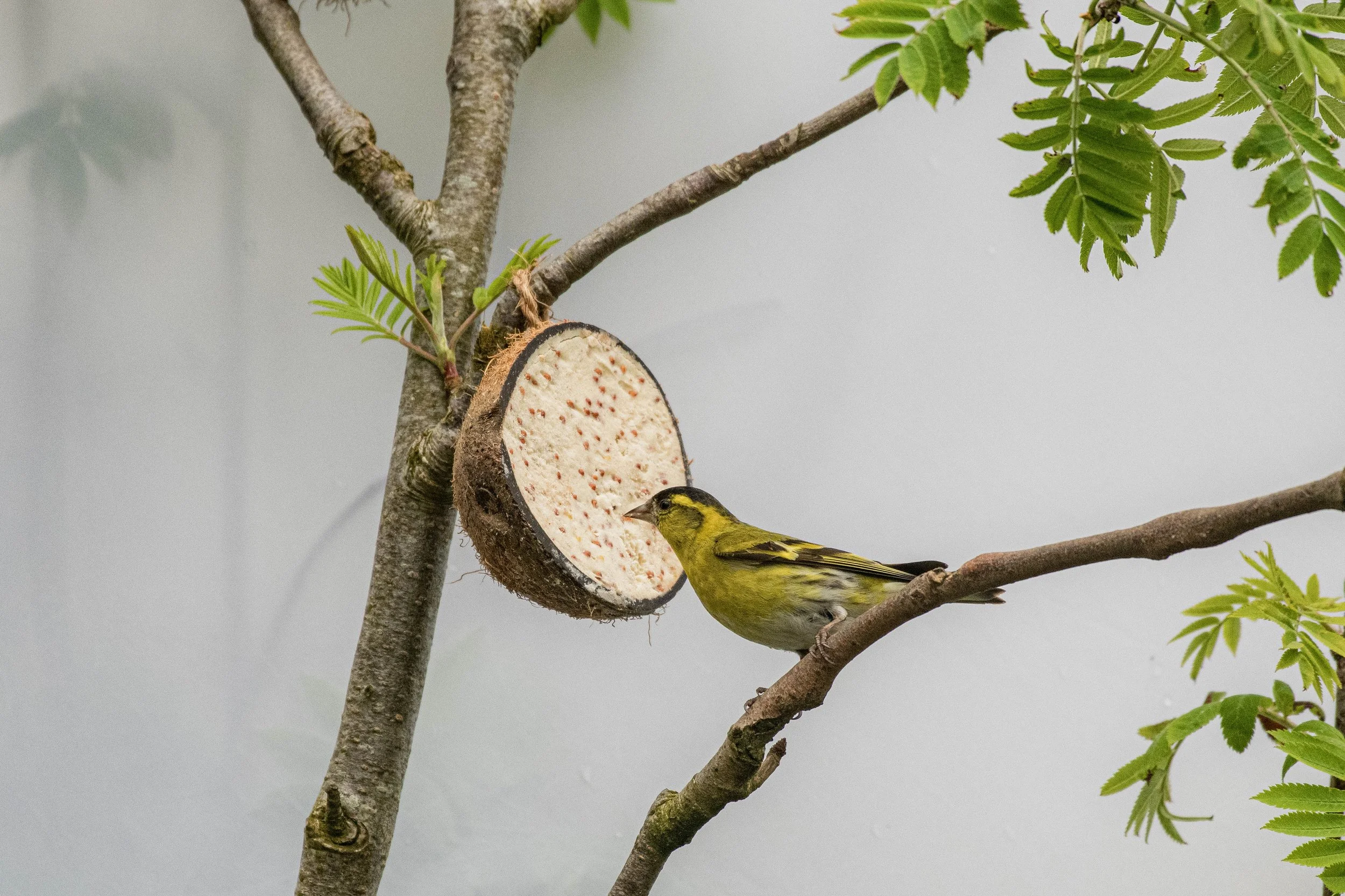 Waterside WL (8 of 9).jpg