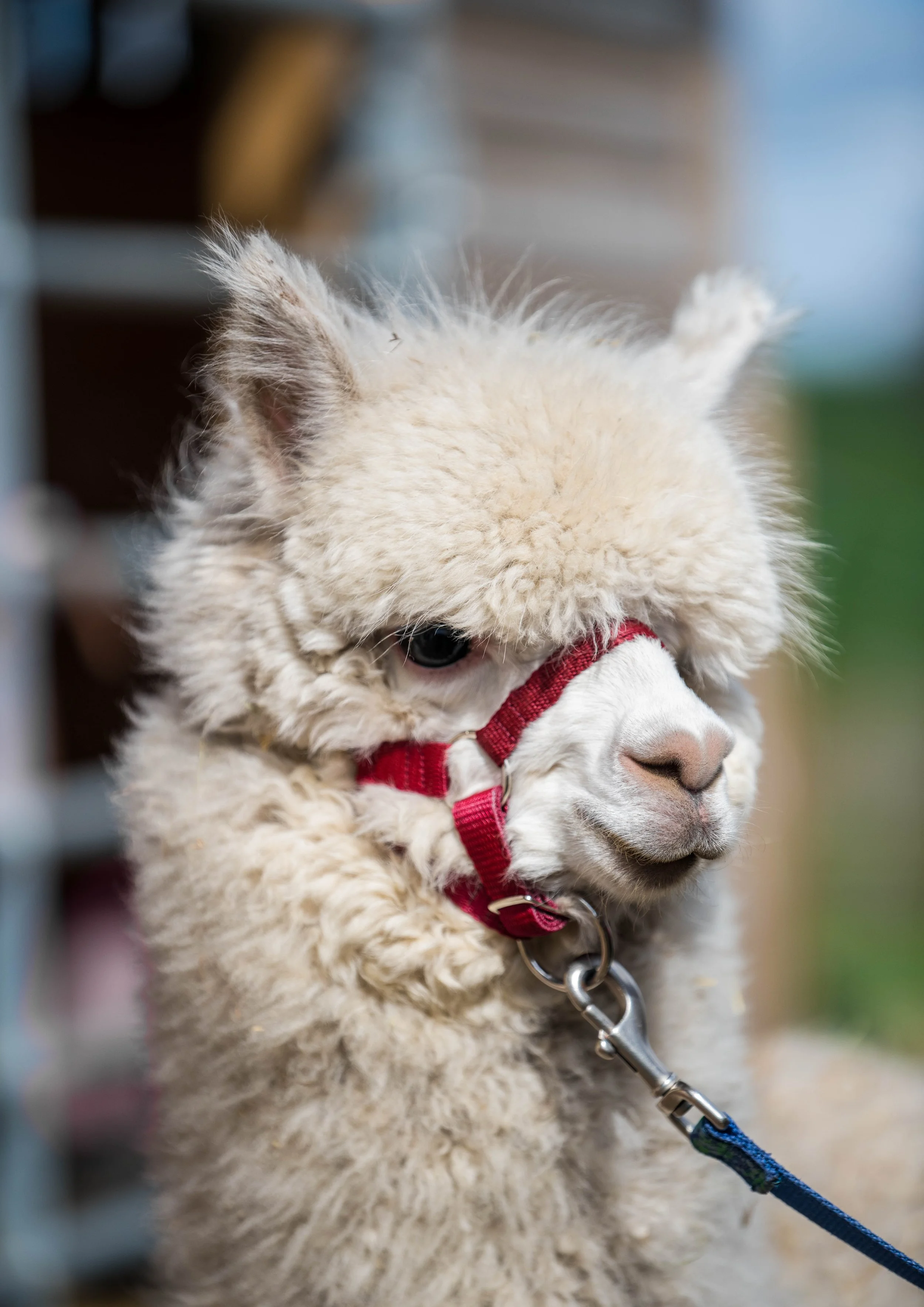 Waterside RL (17 of 25) - Copy.jpg