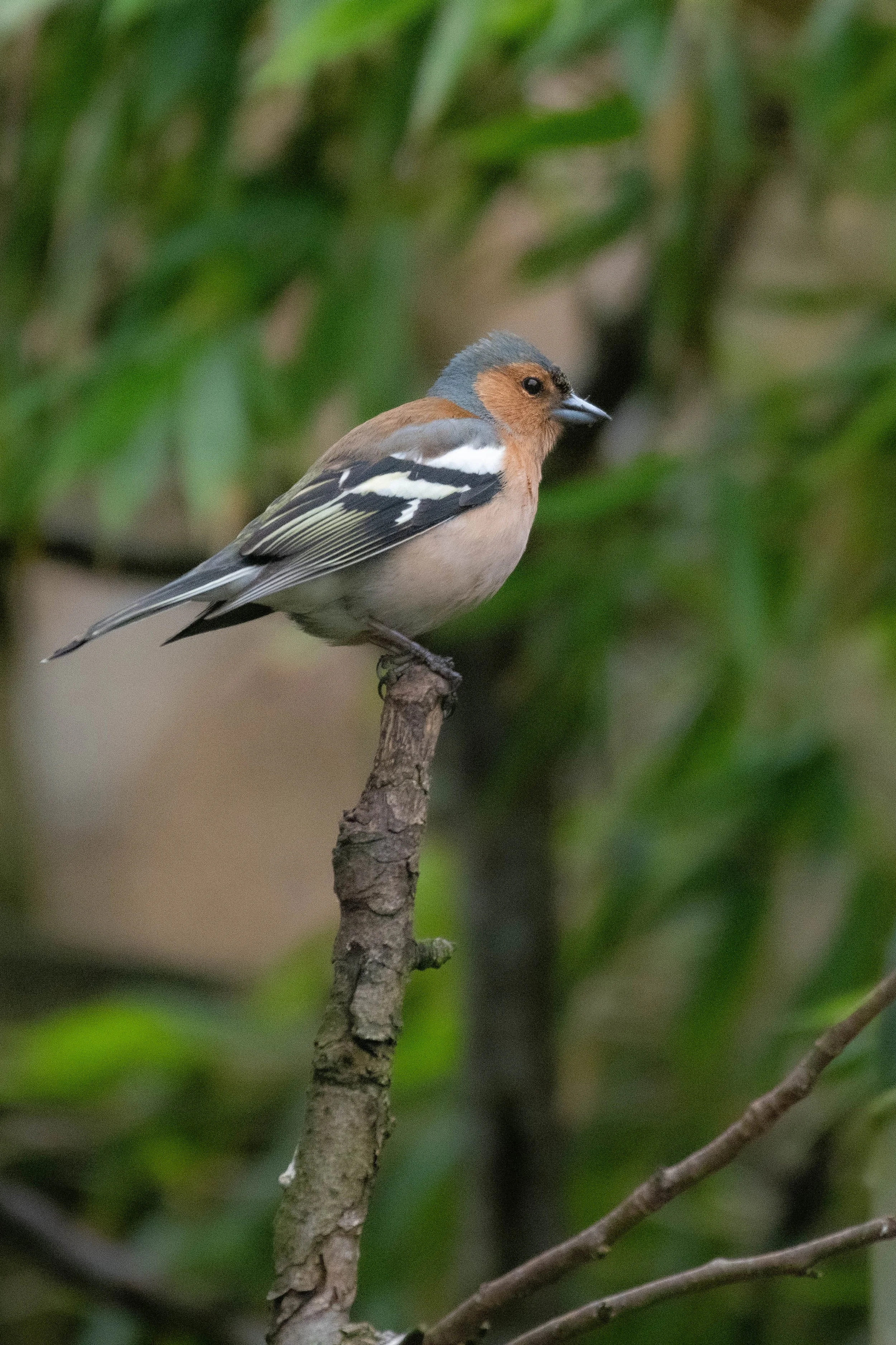 Waterside WL (3 of 9).jpg