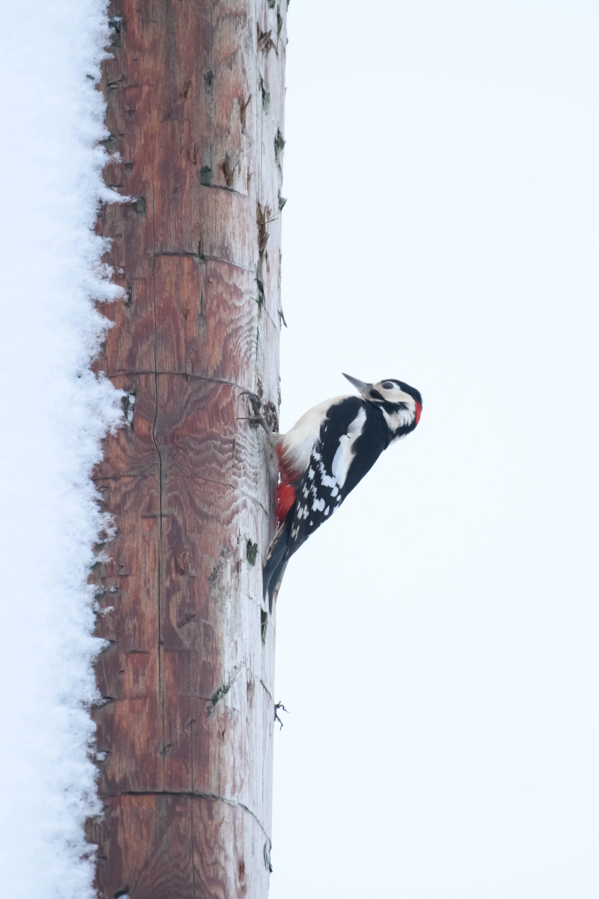 Waterside WL (4 of 8).jpg