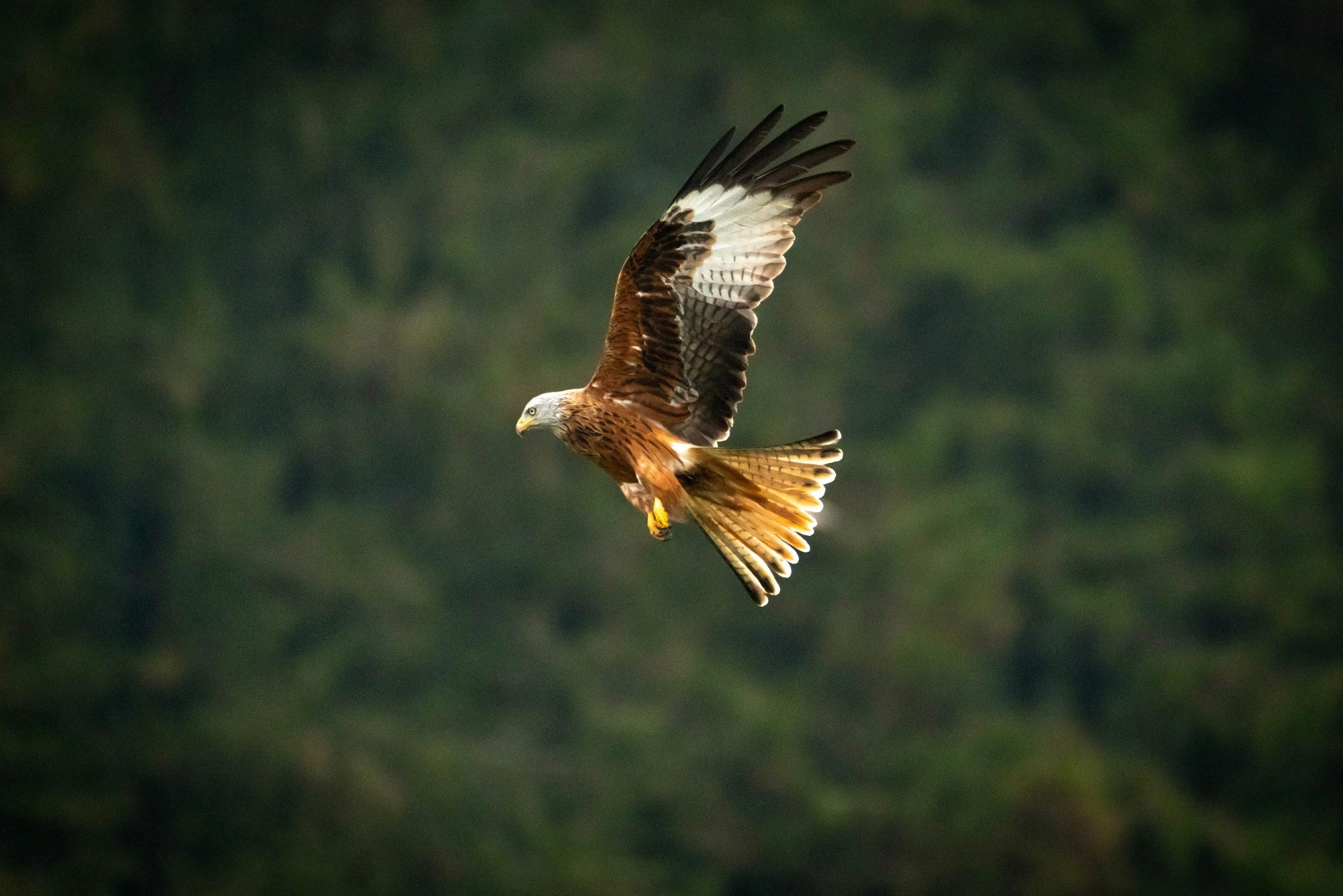 Waterside WL (8 of 8).jpg