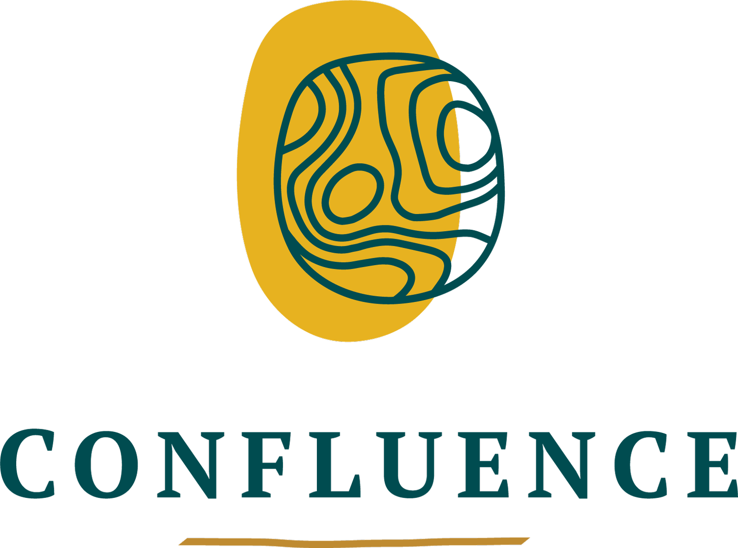 Confluence - Young Adult Treatment Program