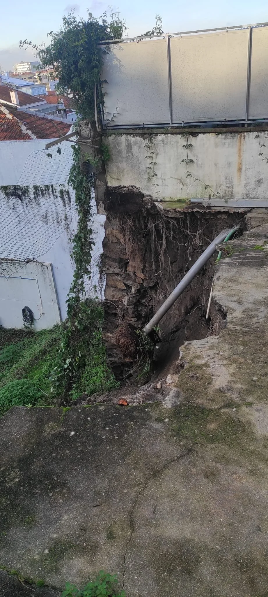 WhatsApp Image 2022-12-30 at 17.47.24 (1).jpeg