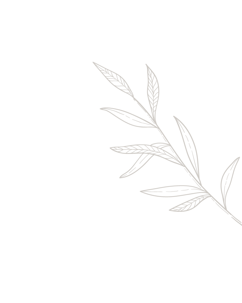 counseling-services-compassionate-roots