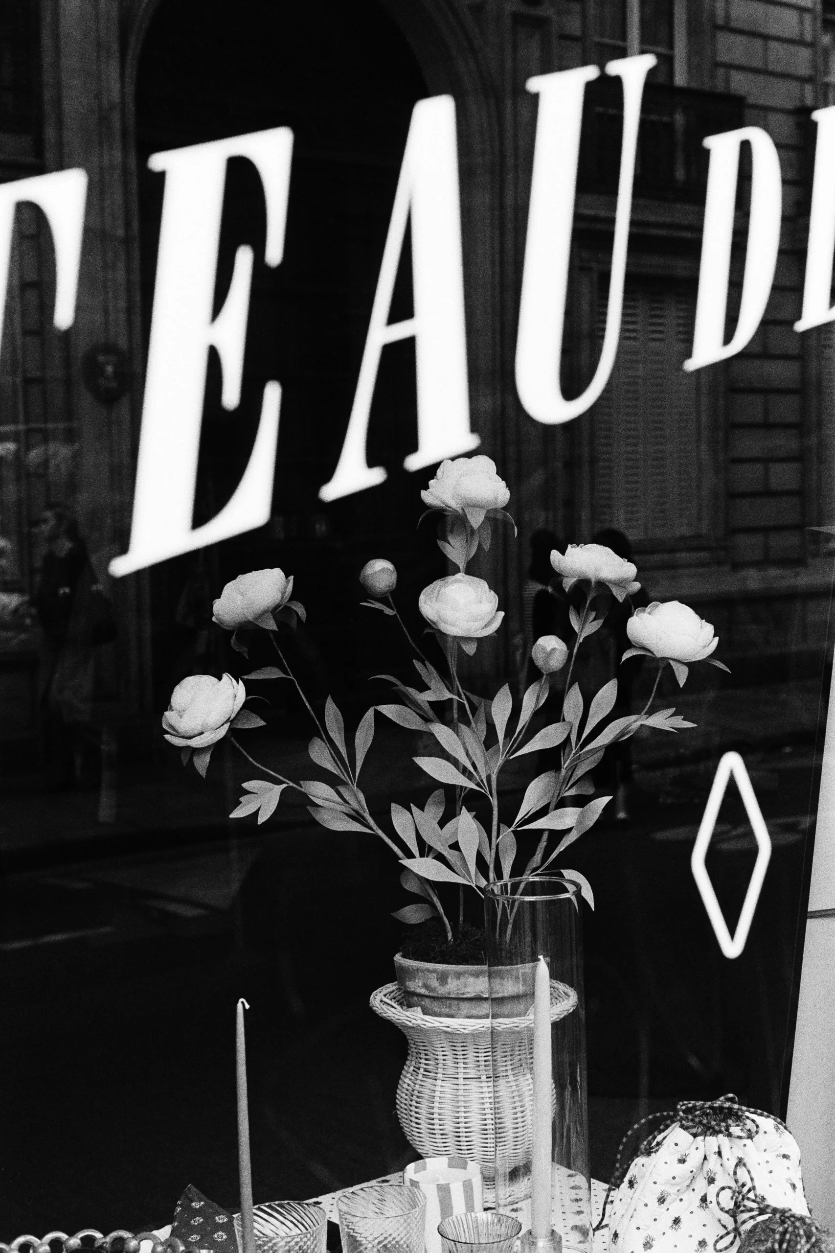 Window Shopper_30.JPG