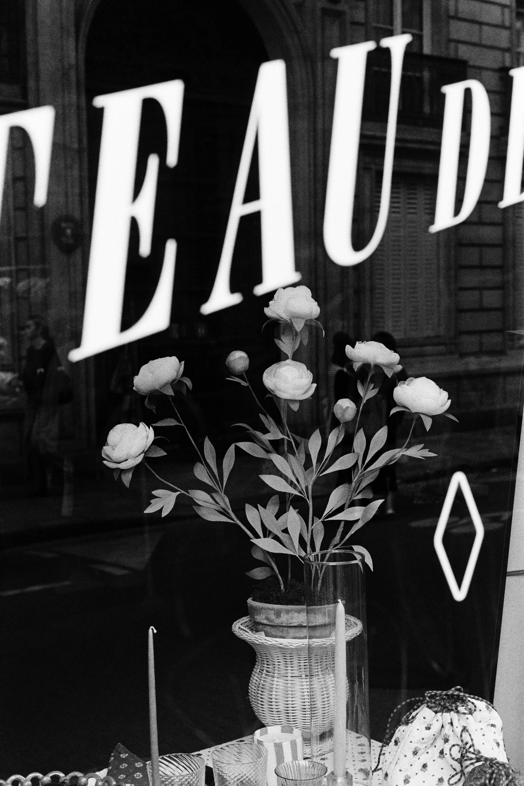 Window Shopper-24.JPG