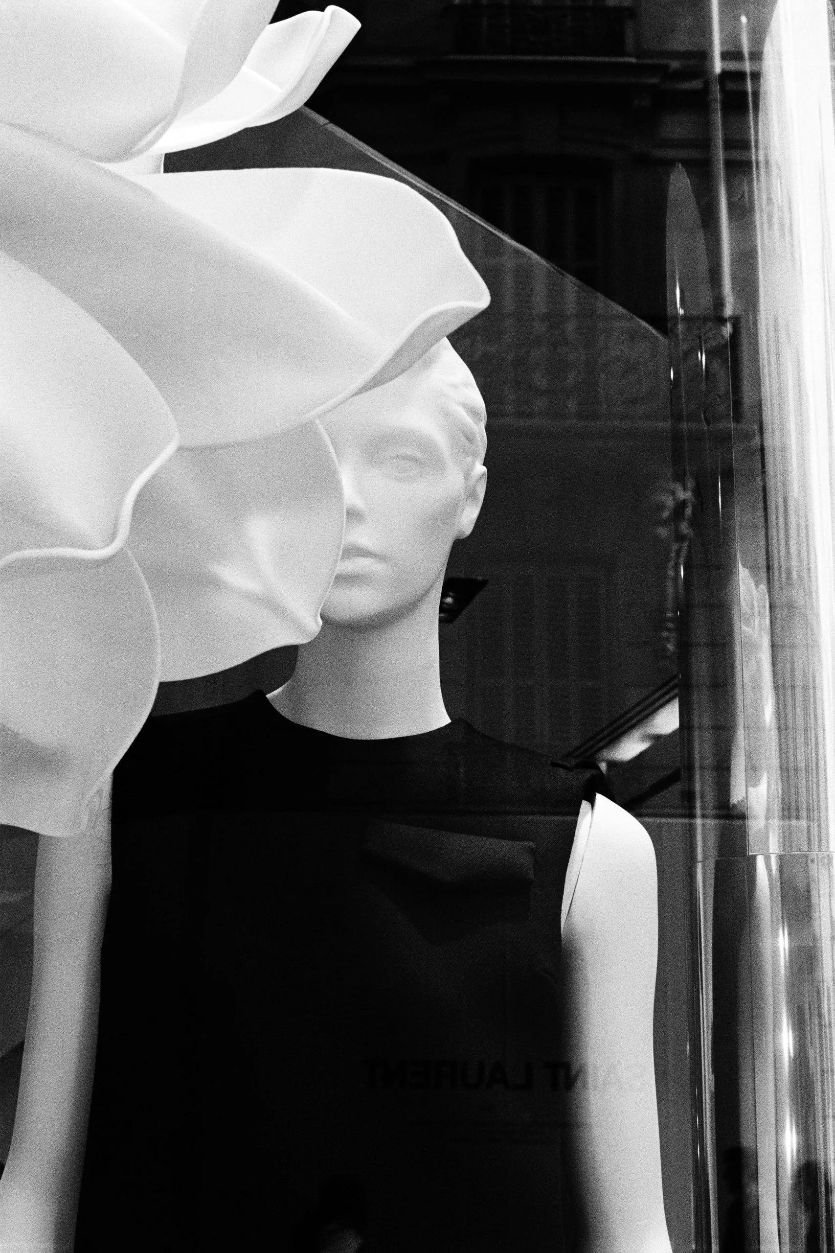 Window Shopper-13.JPG