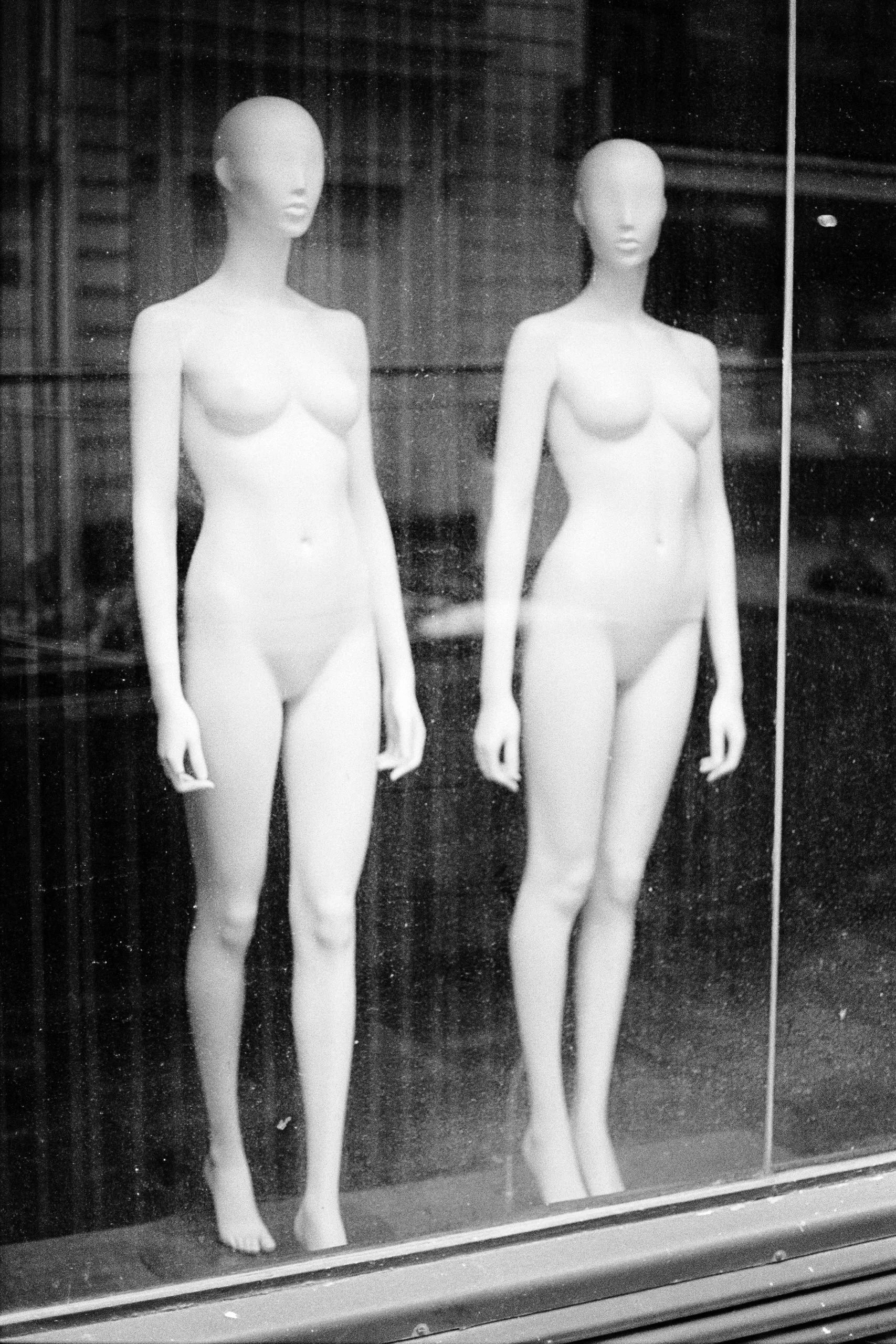 Window Shopper_14.JPG