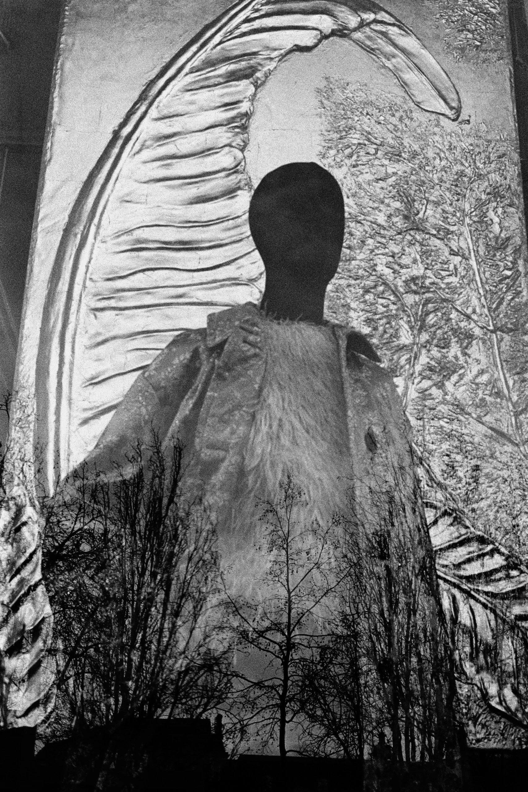 Window Shopper_26.JPG