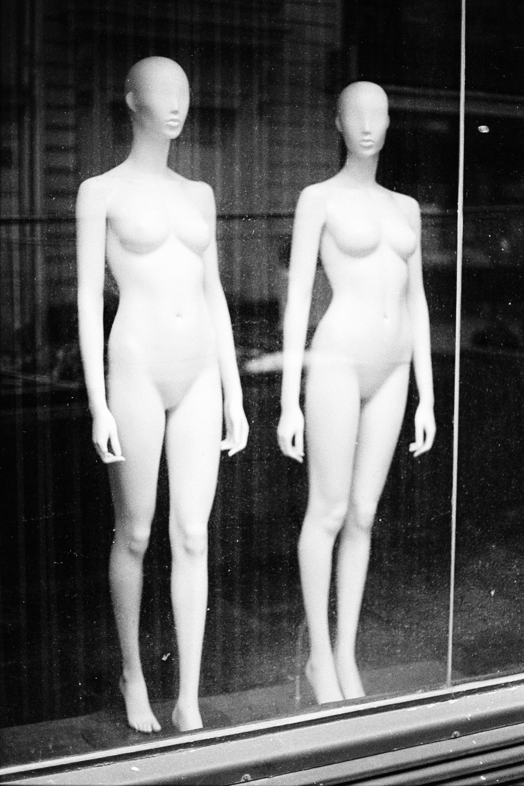 Window Shopper_20.JPG