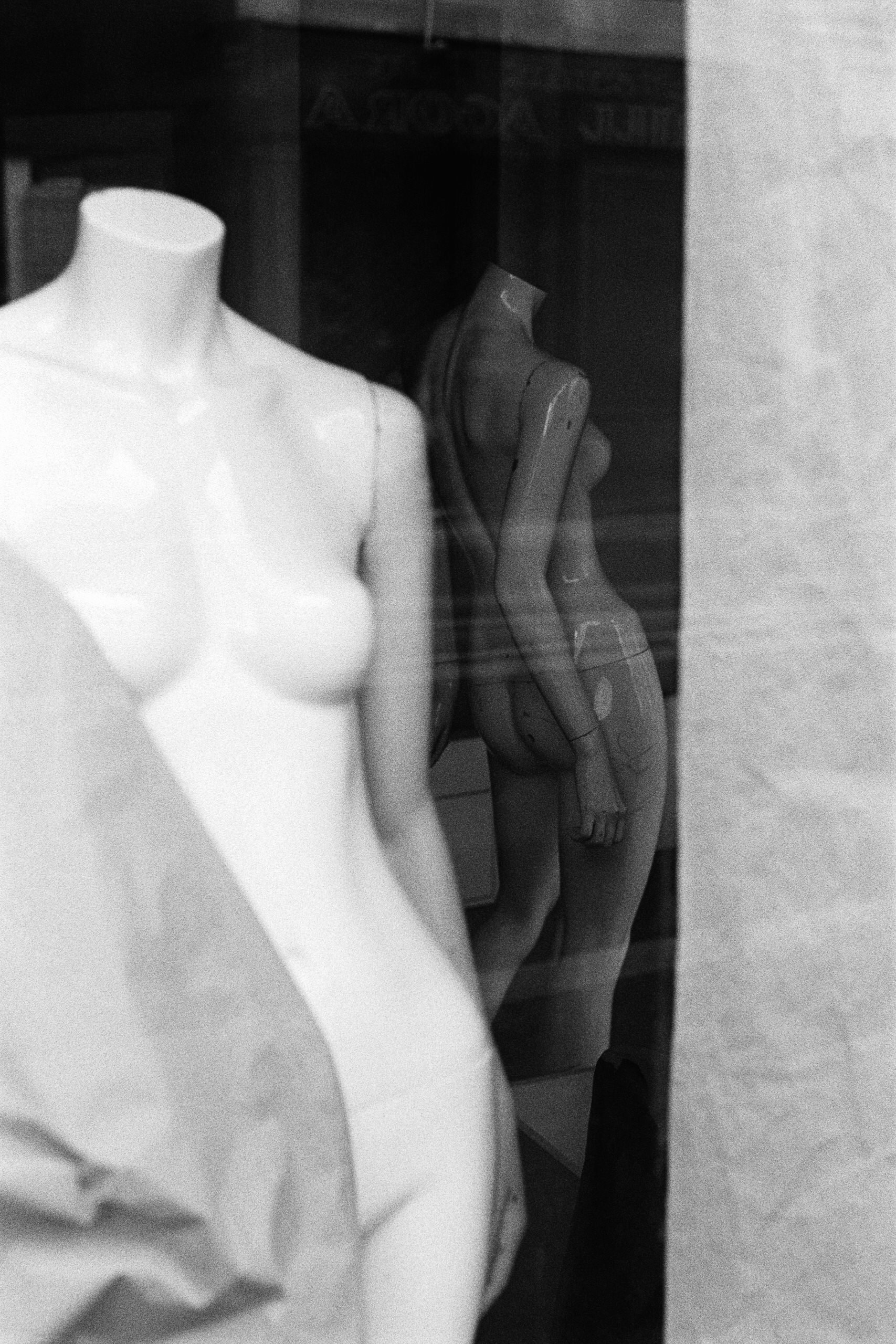 Window Shopper_12.JPG