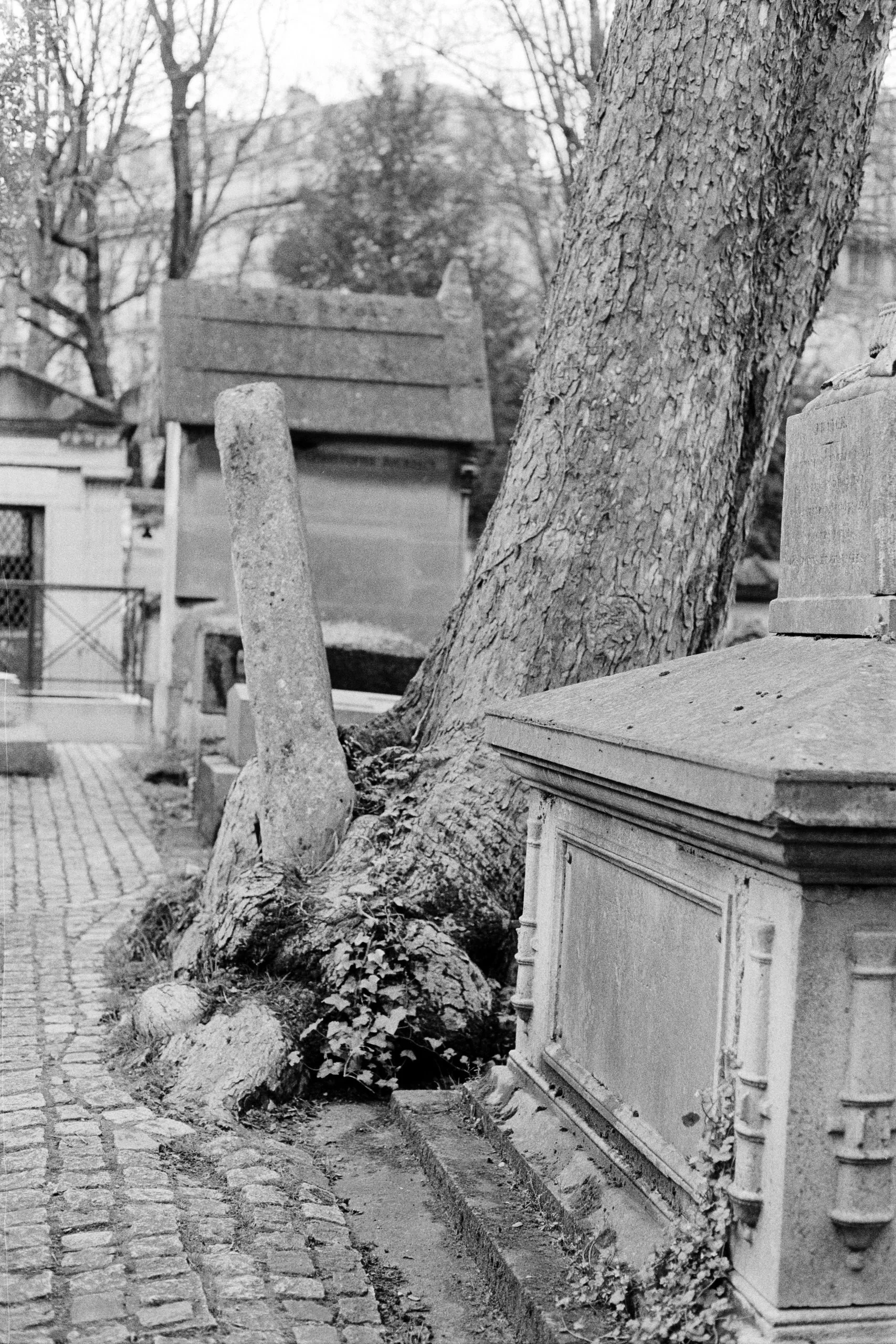 A Tale Told...-23.JPG