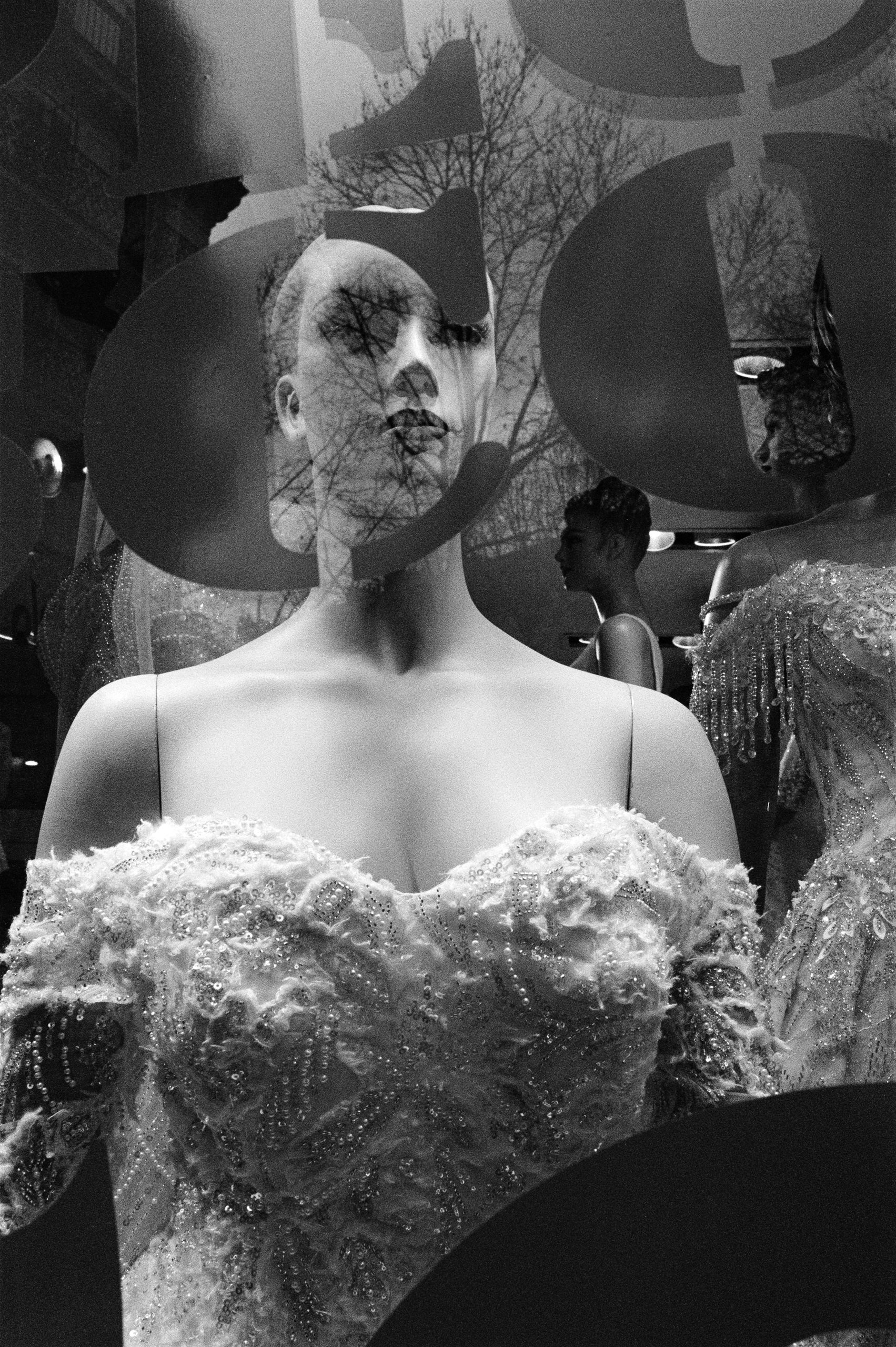 Window Shopper_5.JPG