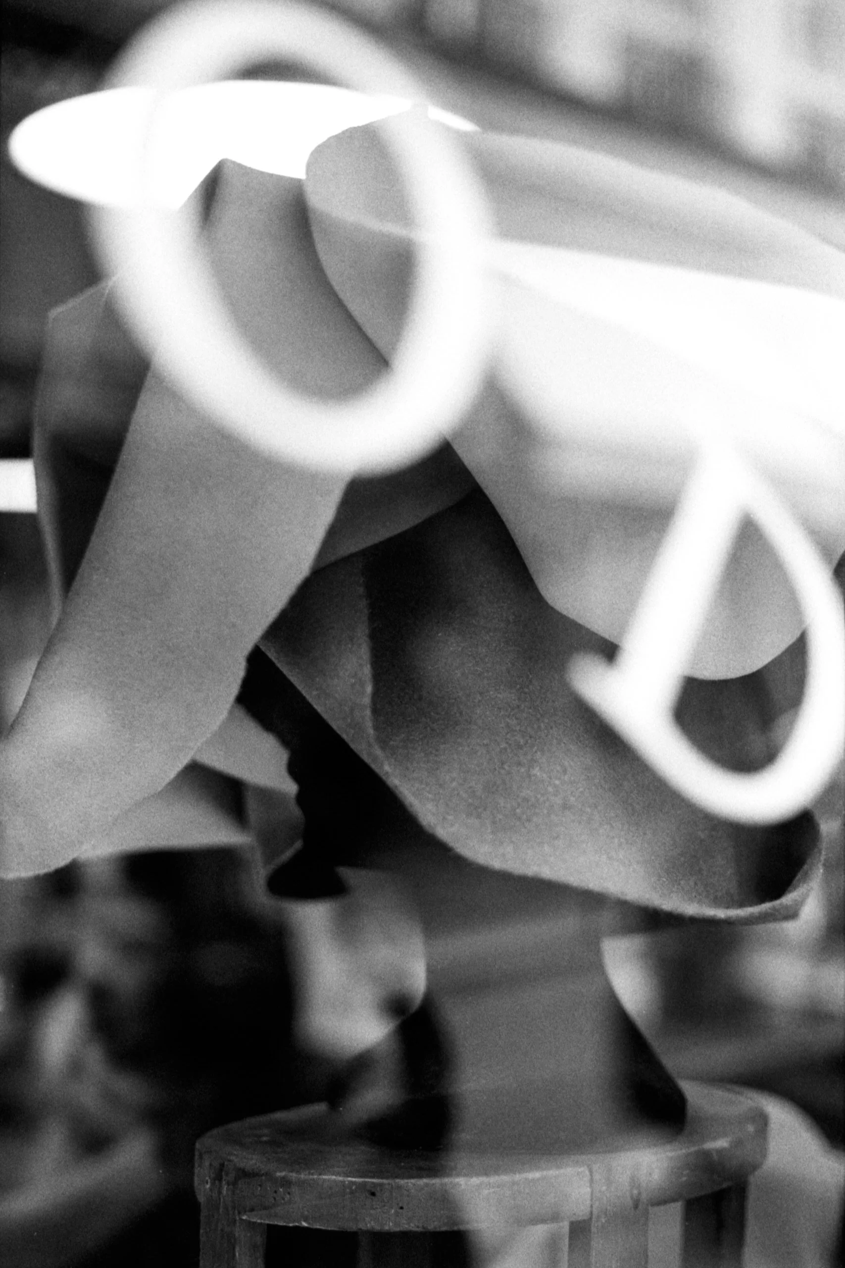 Window Shopper-8.JPG