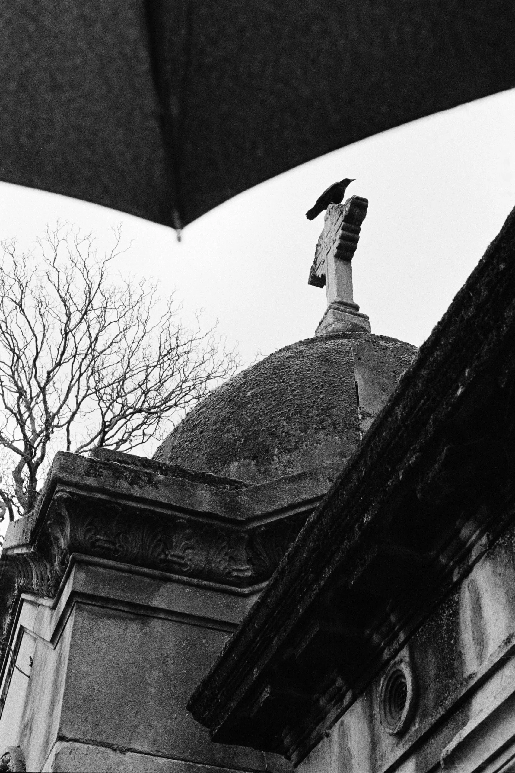 A Tale Told...-26.JPG