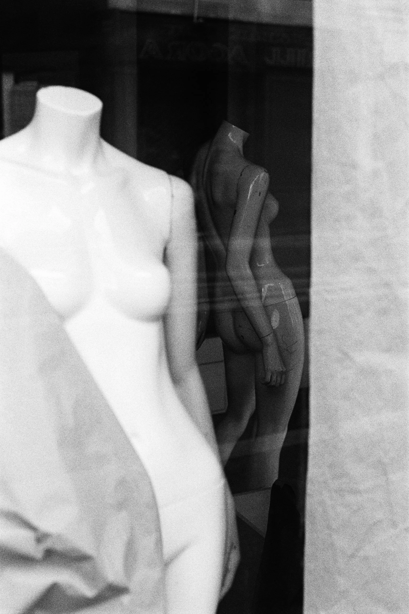 Window Shopper_13.JPG