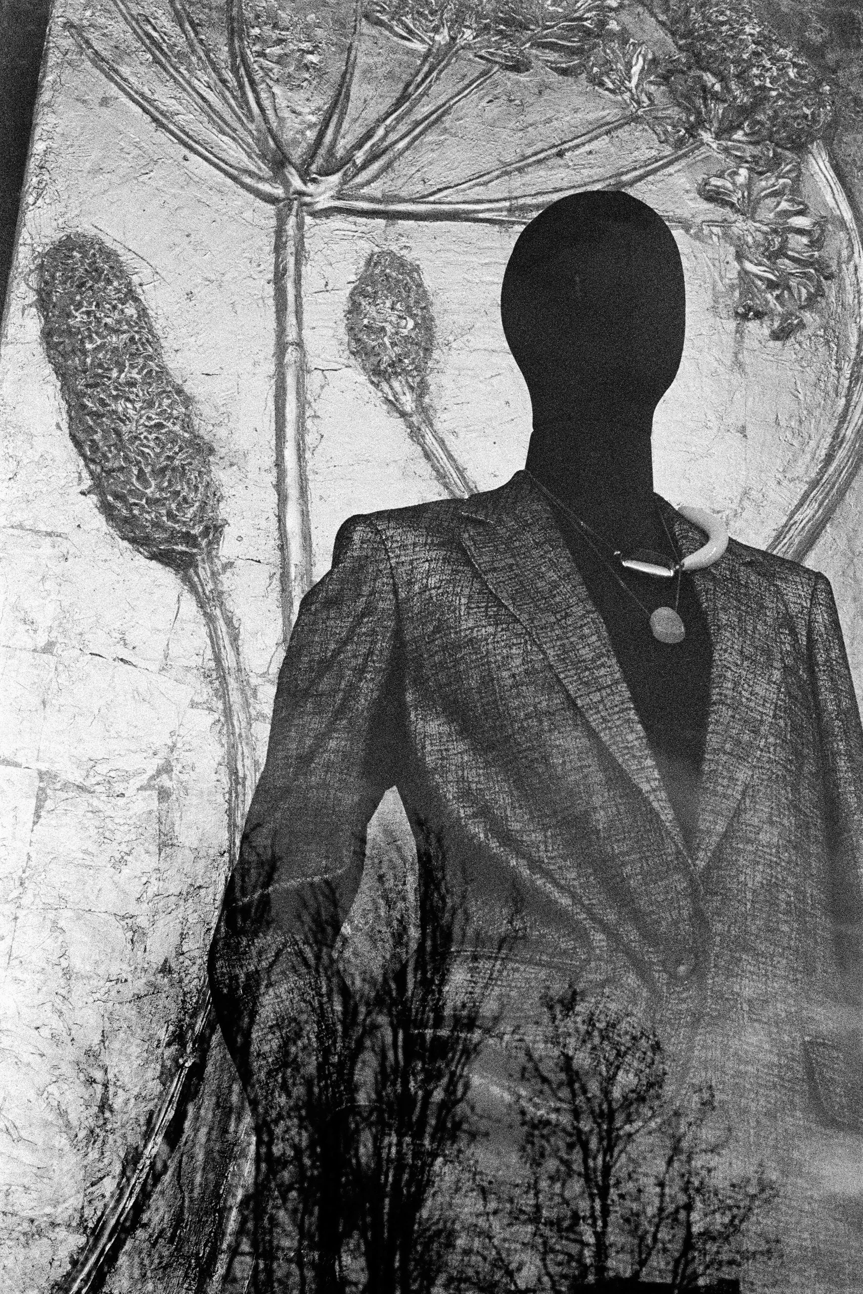 Window Shopper_1.JPG