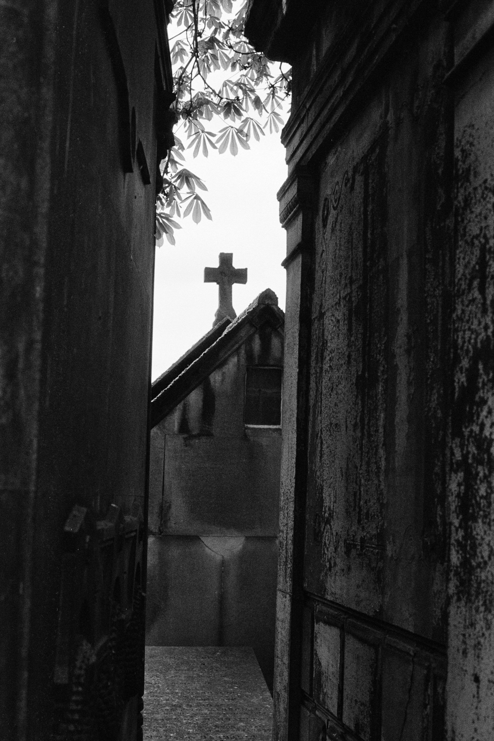 A Tale Told...-29.JPG