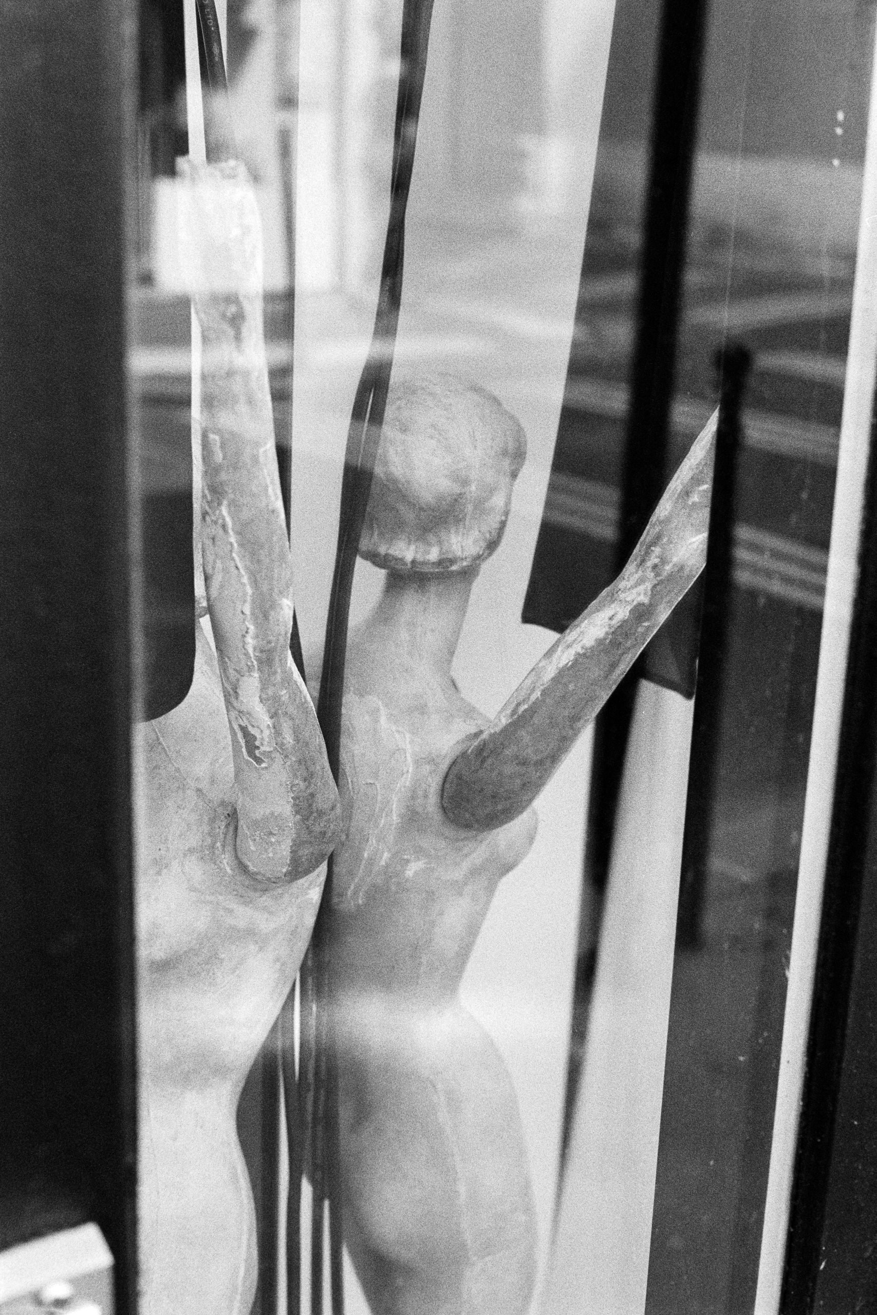 Window Shopper-30.JPG