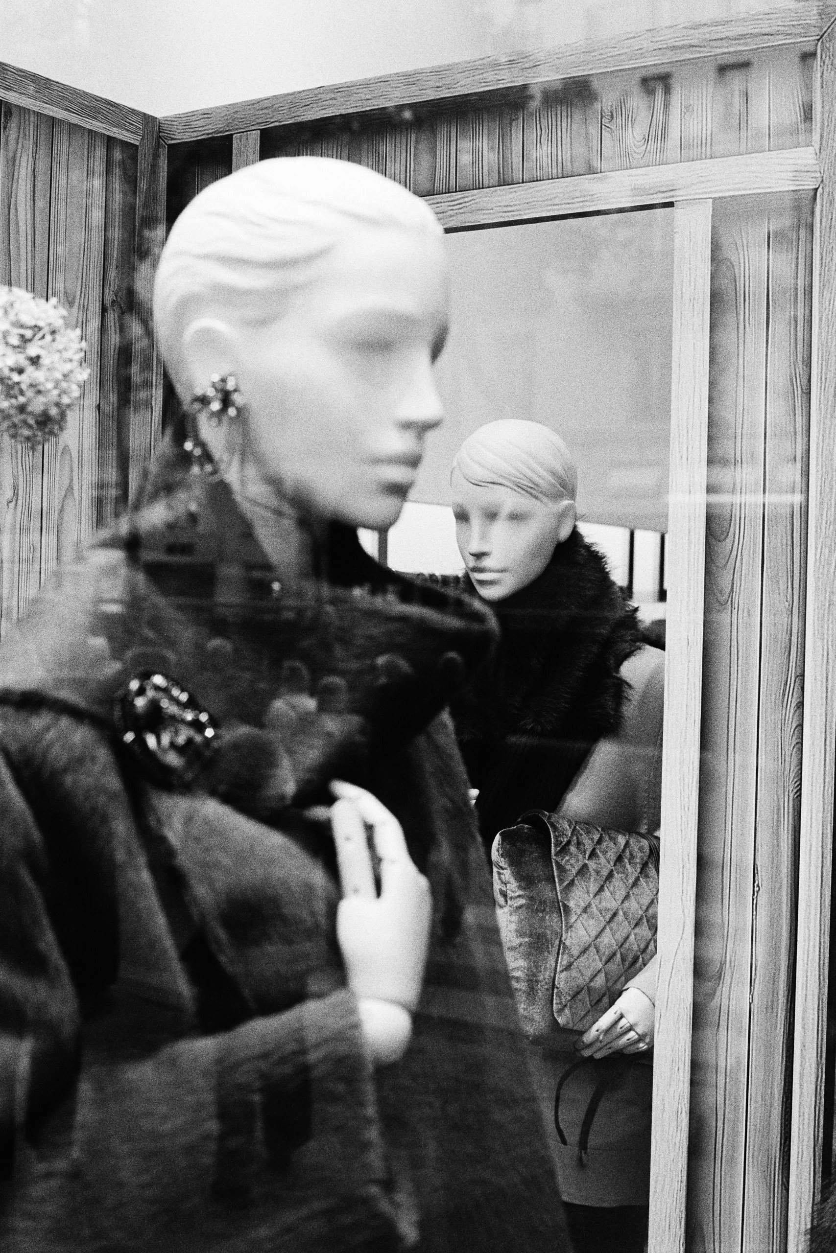 Window Shopper_2.JPG