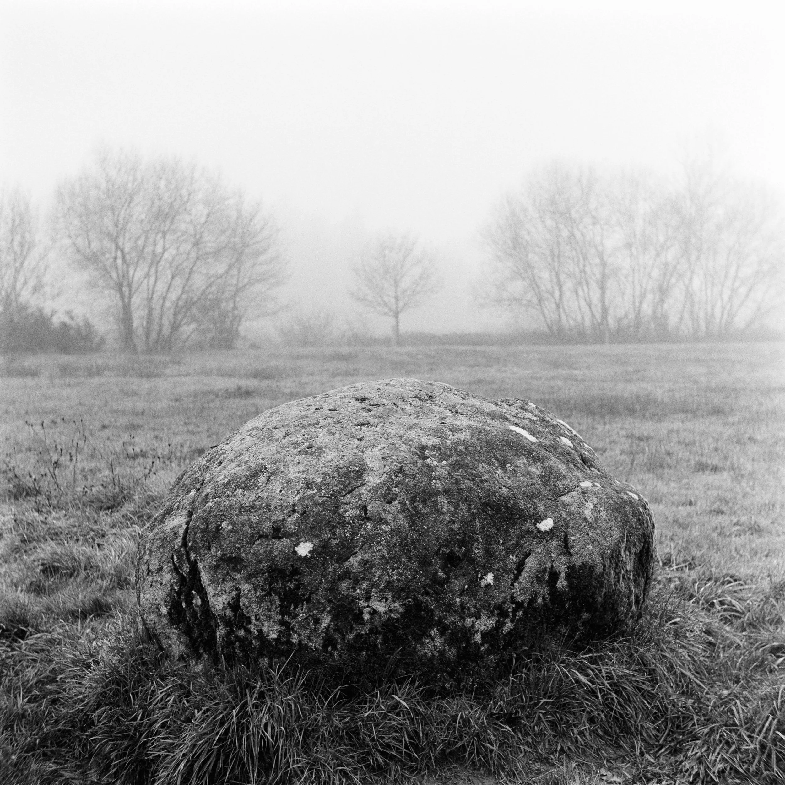 The Peatland_29.JPG