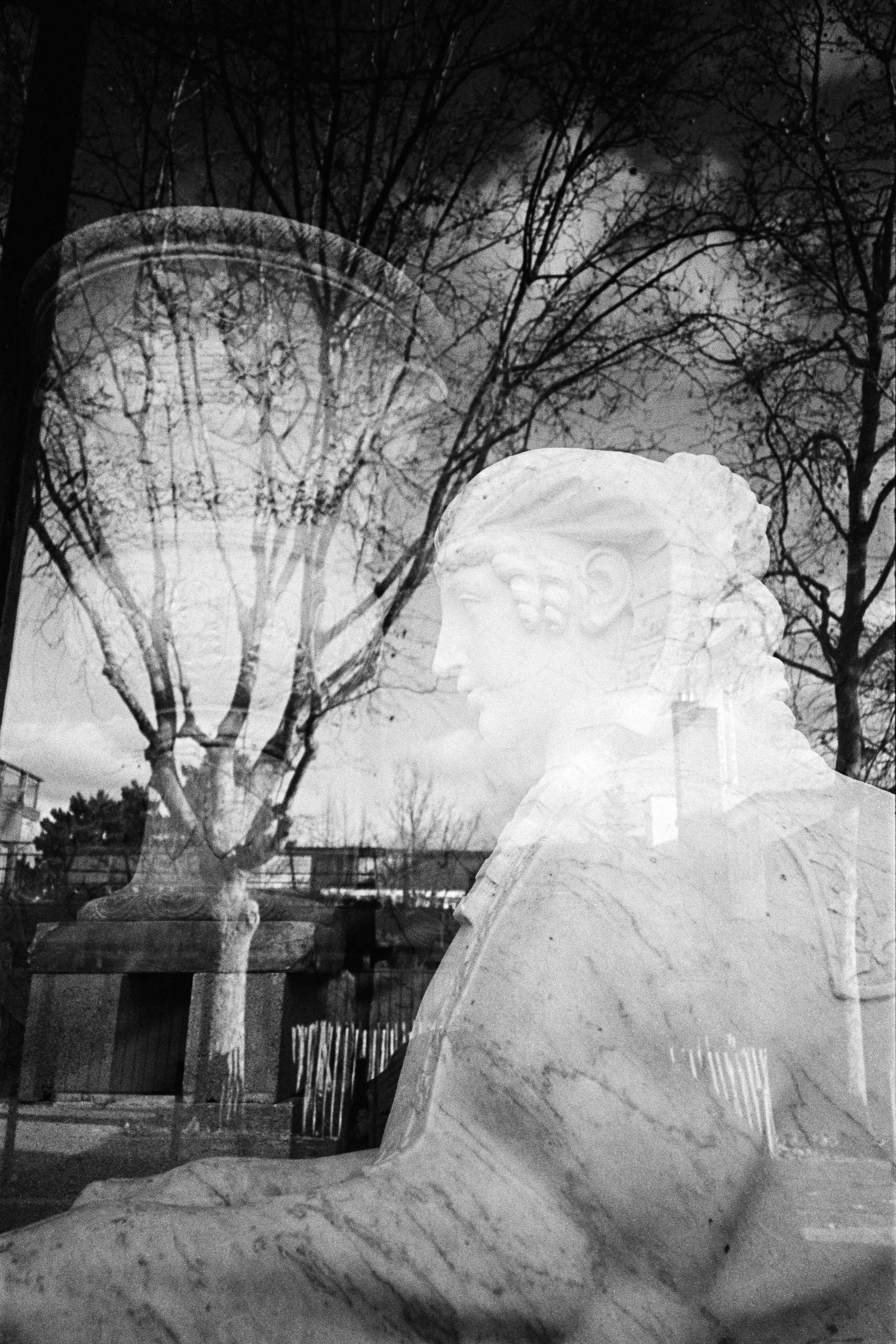 Window Shopper_6.JPG