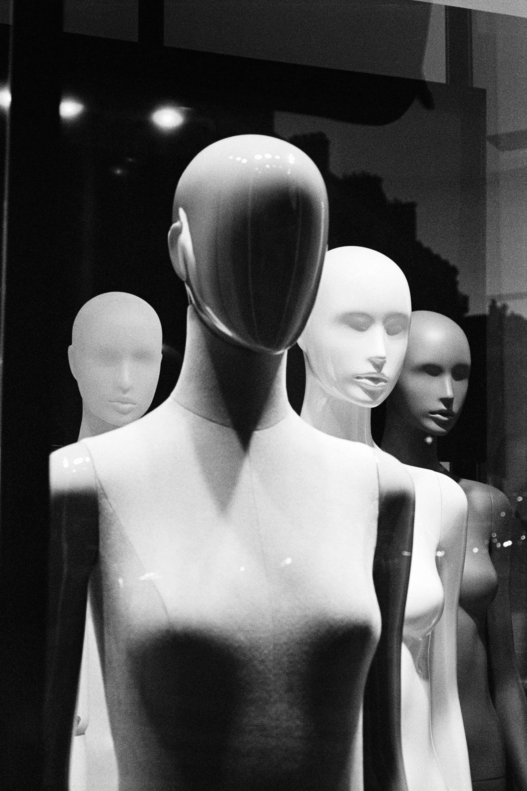 Window Shopper_4.JPG